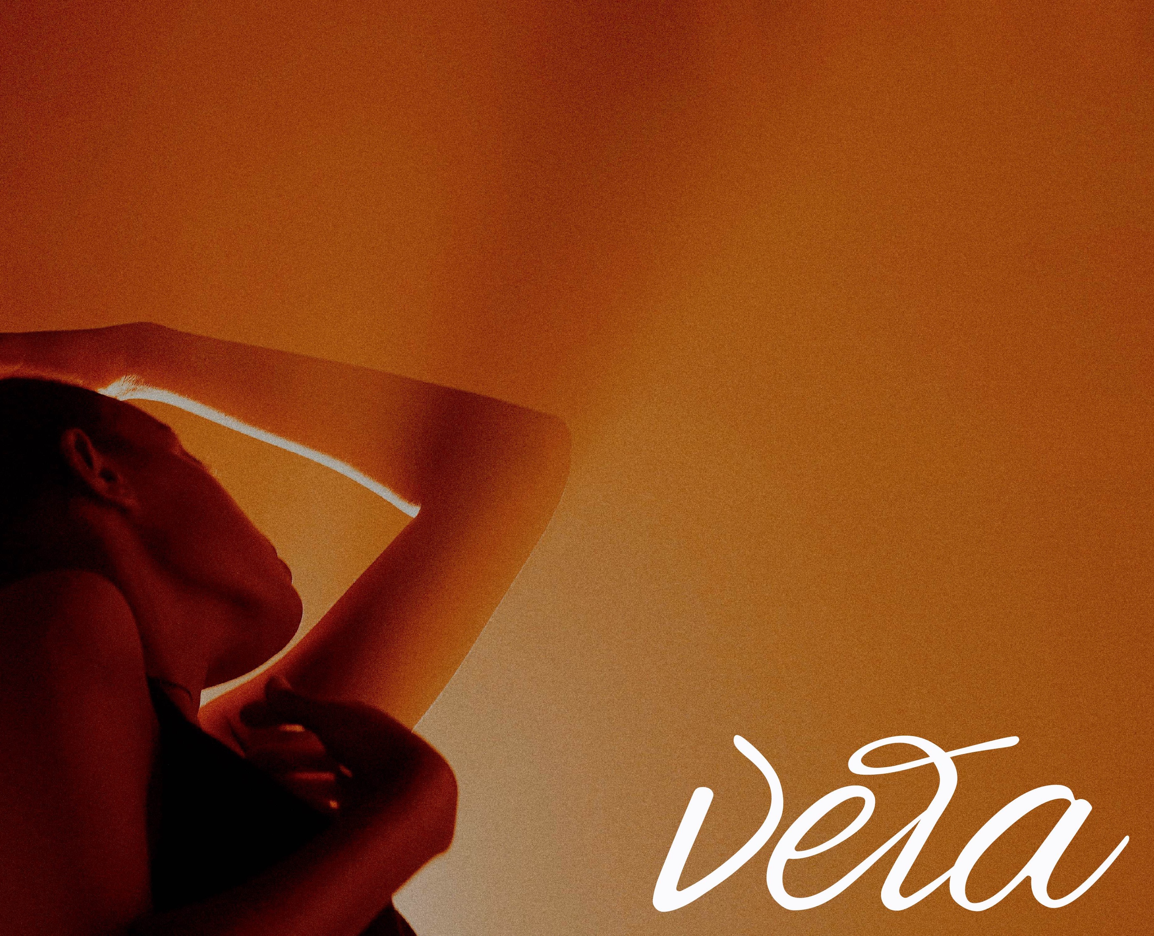 VELA /branding for dance studio/ visual identity — Брендинг на Dprofile