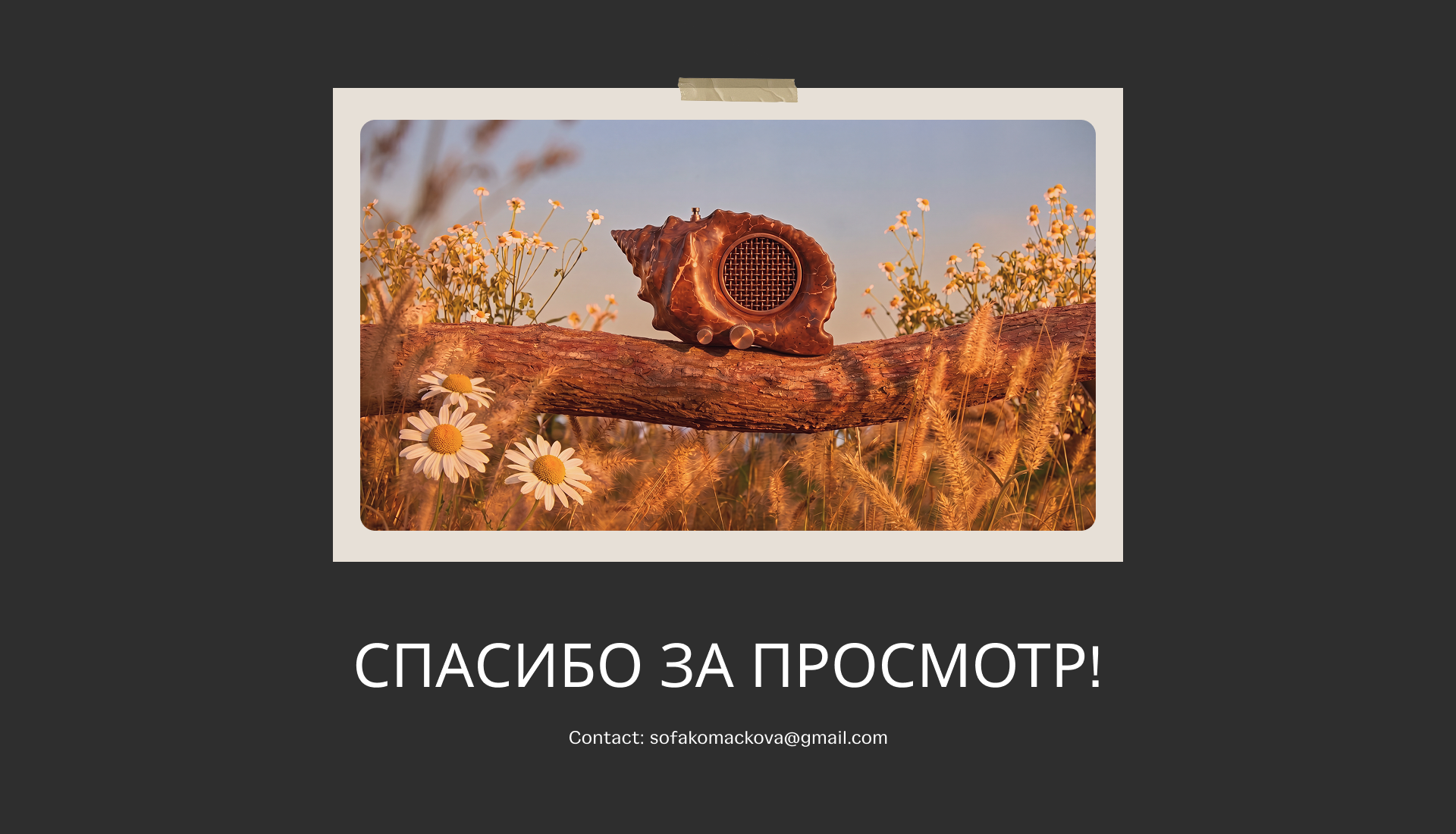 Портативное радио в форме ракушки — Изображение №11 — Промдизайн, Нейро на Dprofile