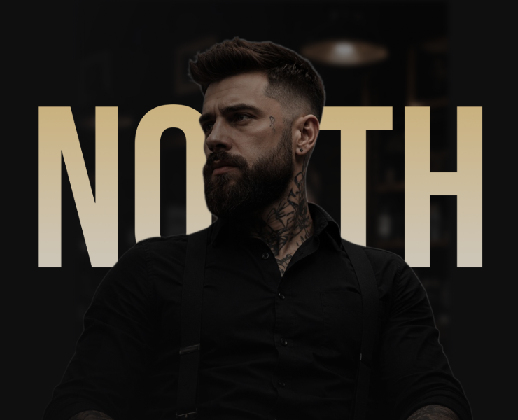 Барьершоп North — Интерфейсы на Dprofile