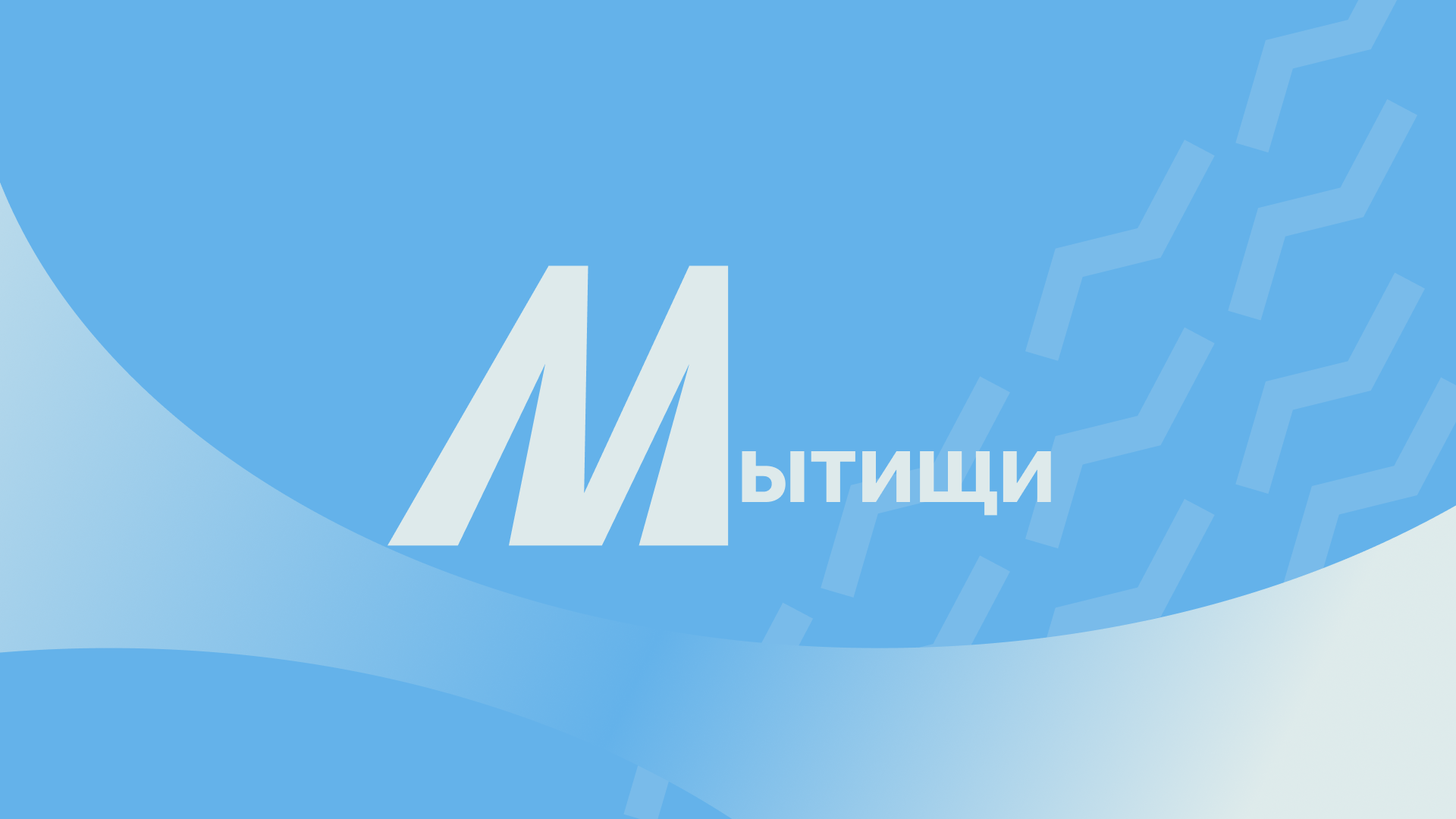Брендинг гoрoда Мытищи / Branding — Изображение №6 — Интерфейсы, Брендинг на Dprofile