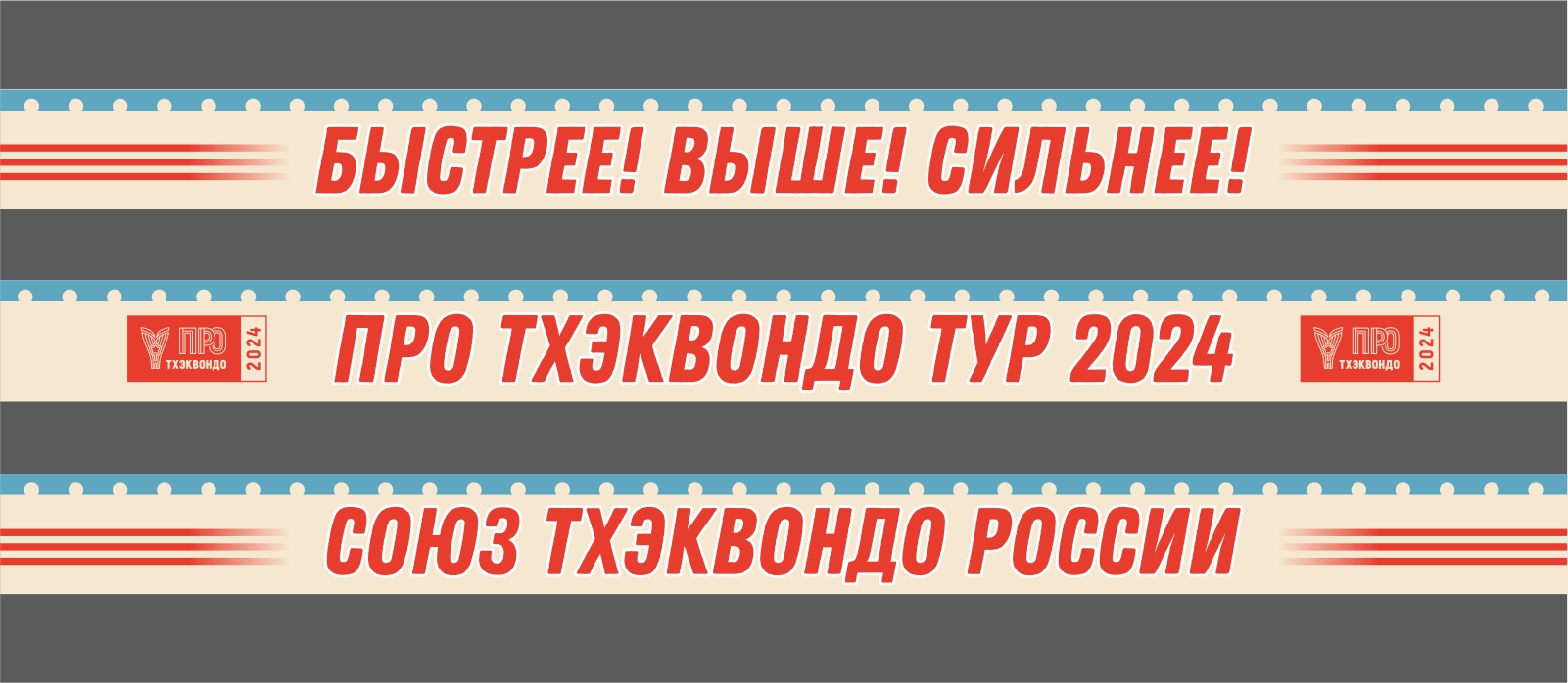 ПРО Тхэквондо — Изображение №4 — Брендинг, Маркетинг на Dprofile