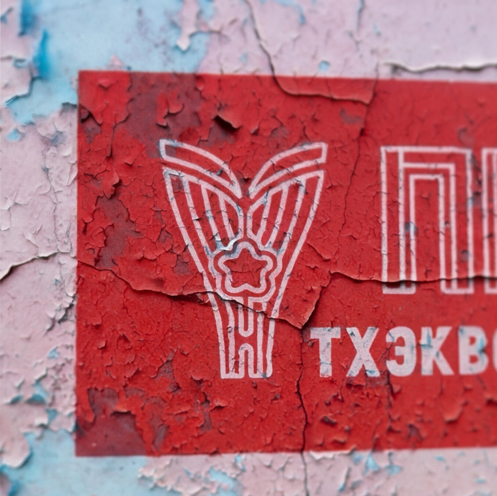 ПРО Тхэквондо — Изображение №6 — Брендинг, Маркетинг на Dprofile
