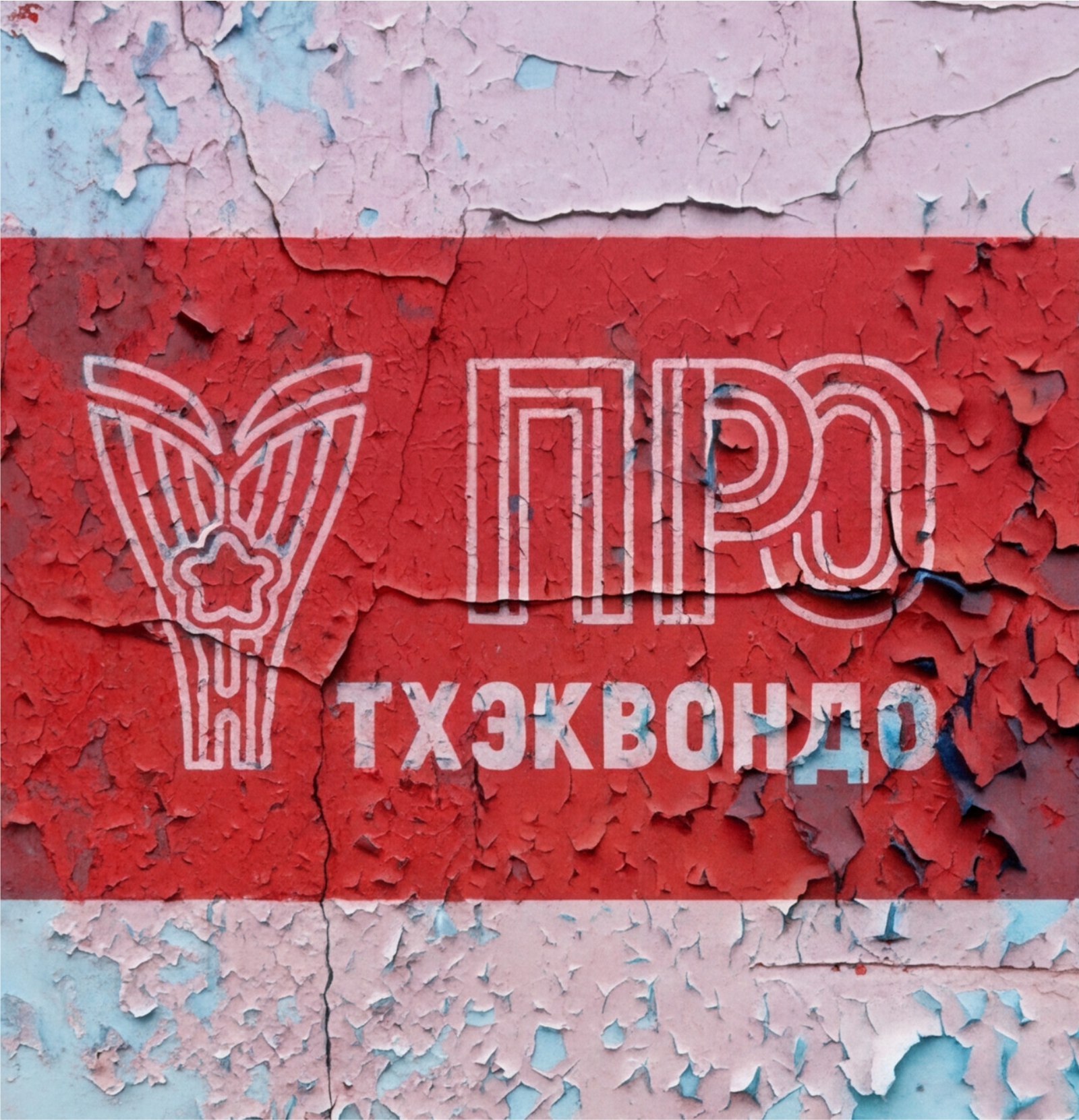 ПРО Тхэквондо — Изображение №7 — Брендинг, Маркетинг на Dprofile