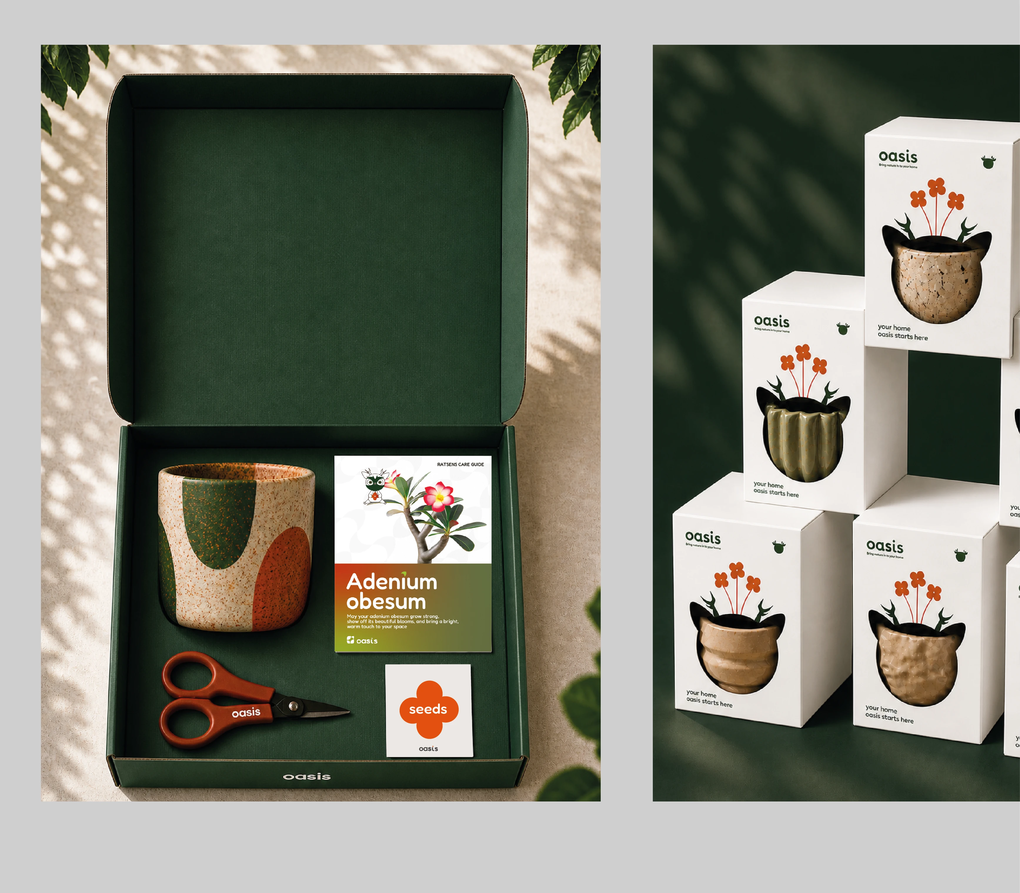 Oasis — a plant-care brand — Изображение №27 — Брендинг, Иллюстрация на Dprofile
