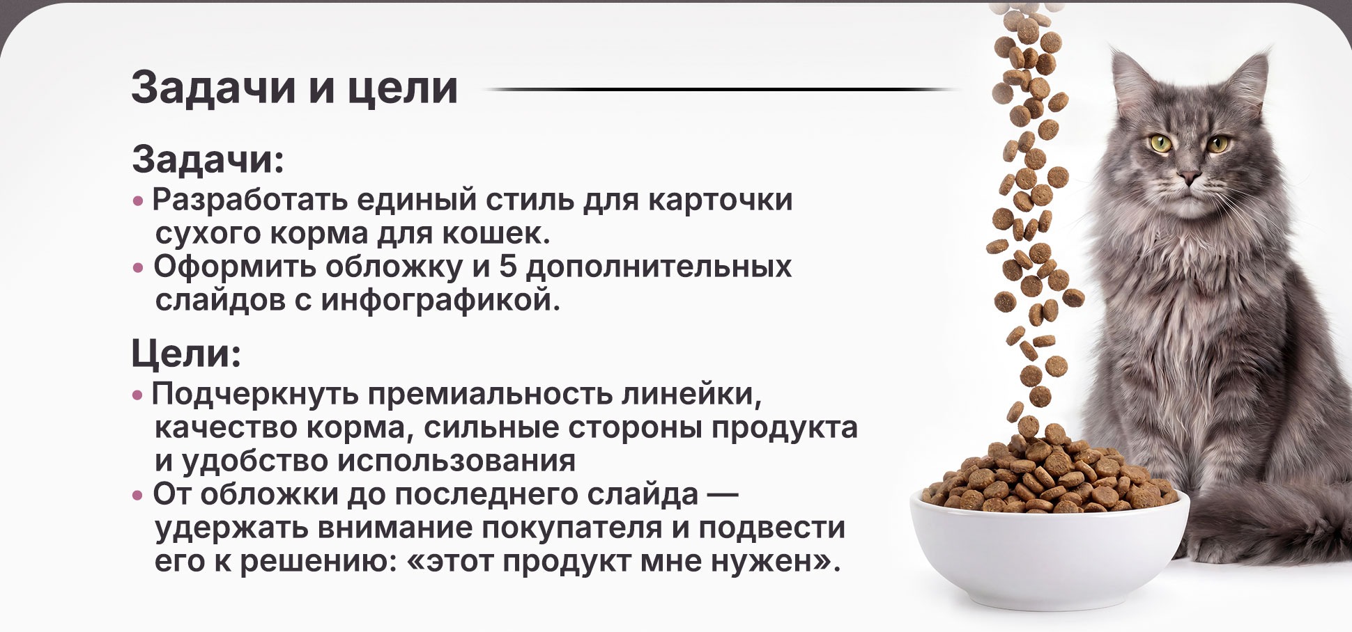 Дизайн карточки товара для корма котам и кошкам — Изображение №2 — Графика, Маркетинг на Dprofile