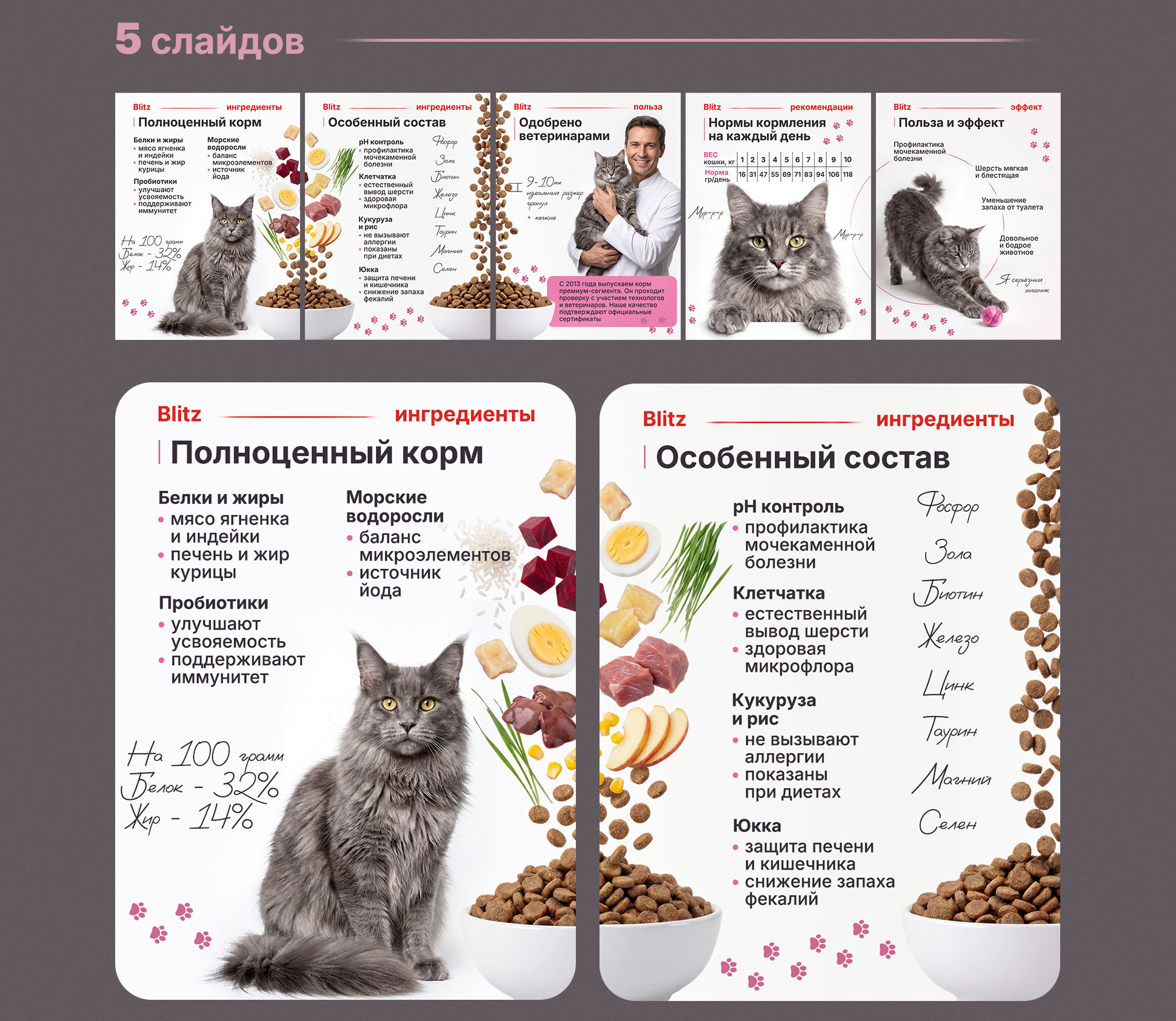 Дизайн карточки товара для корма котам и кошкам — Изображение №9 — Графика, Маркетинг на Dprofile