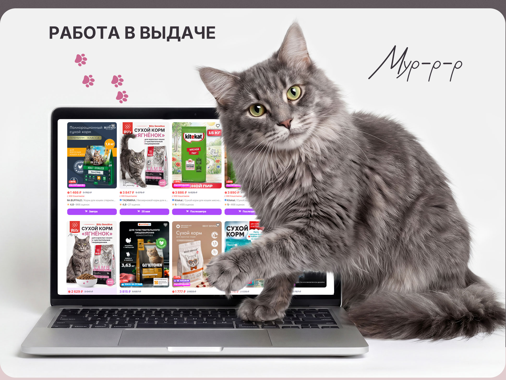 Дизайн карточки товара для корма котам и кошкам — Изображение №11 — Графика, Маркетинг на Dprofile