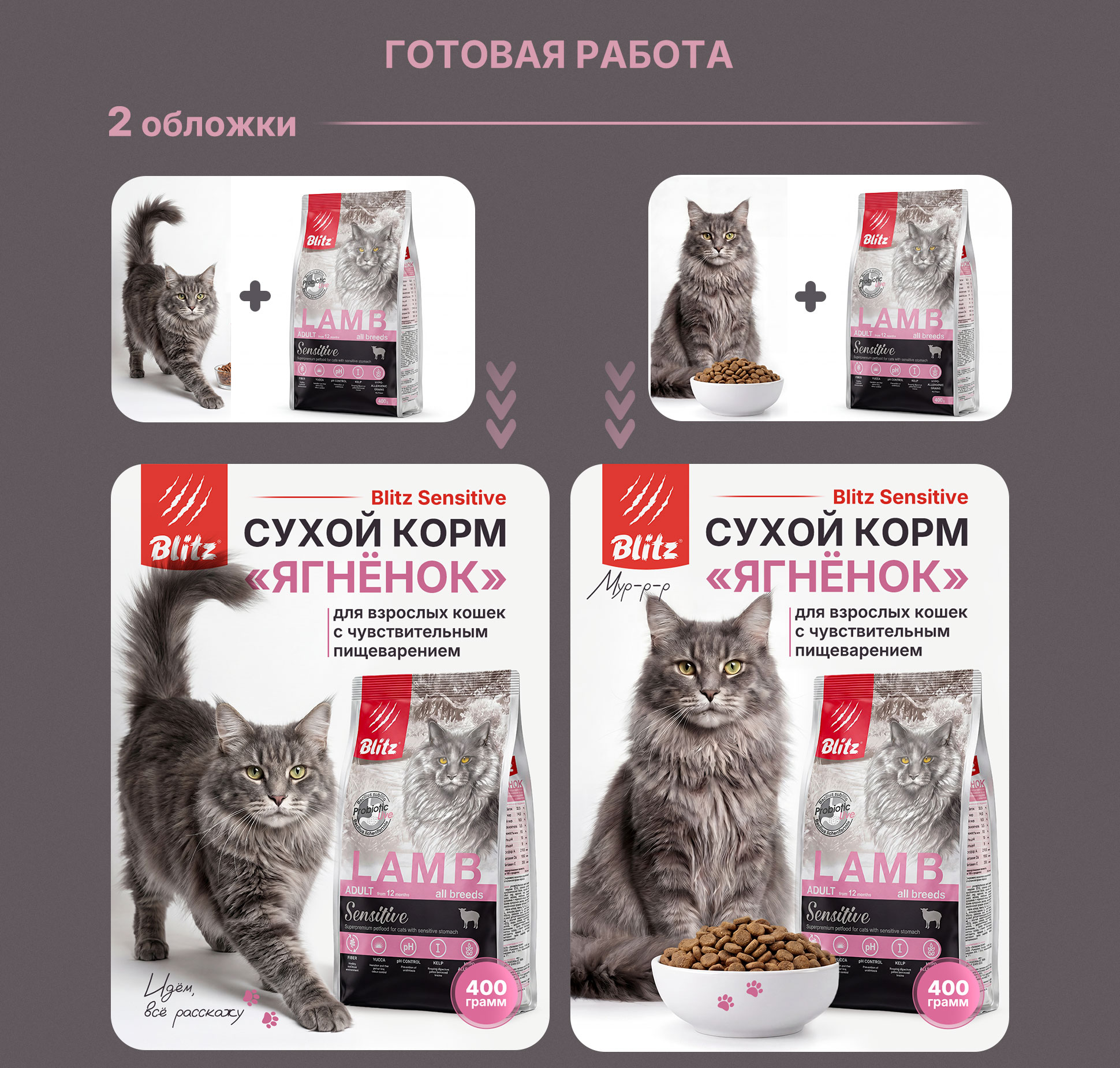 Дизайн карточки товара для корма котам и кошкам — Изображение №8 — Графика, Маркетинг на Dprofile