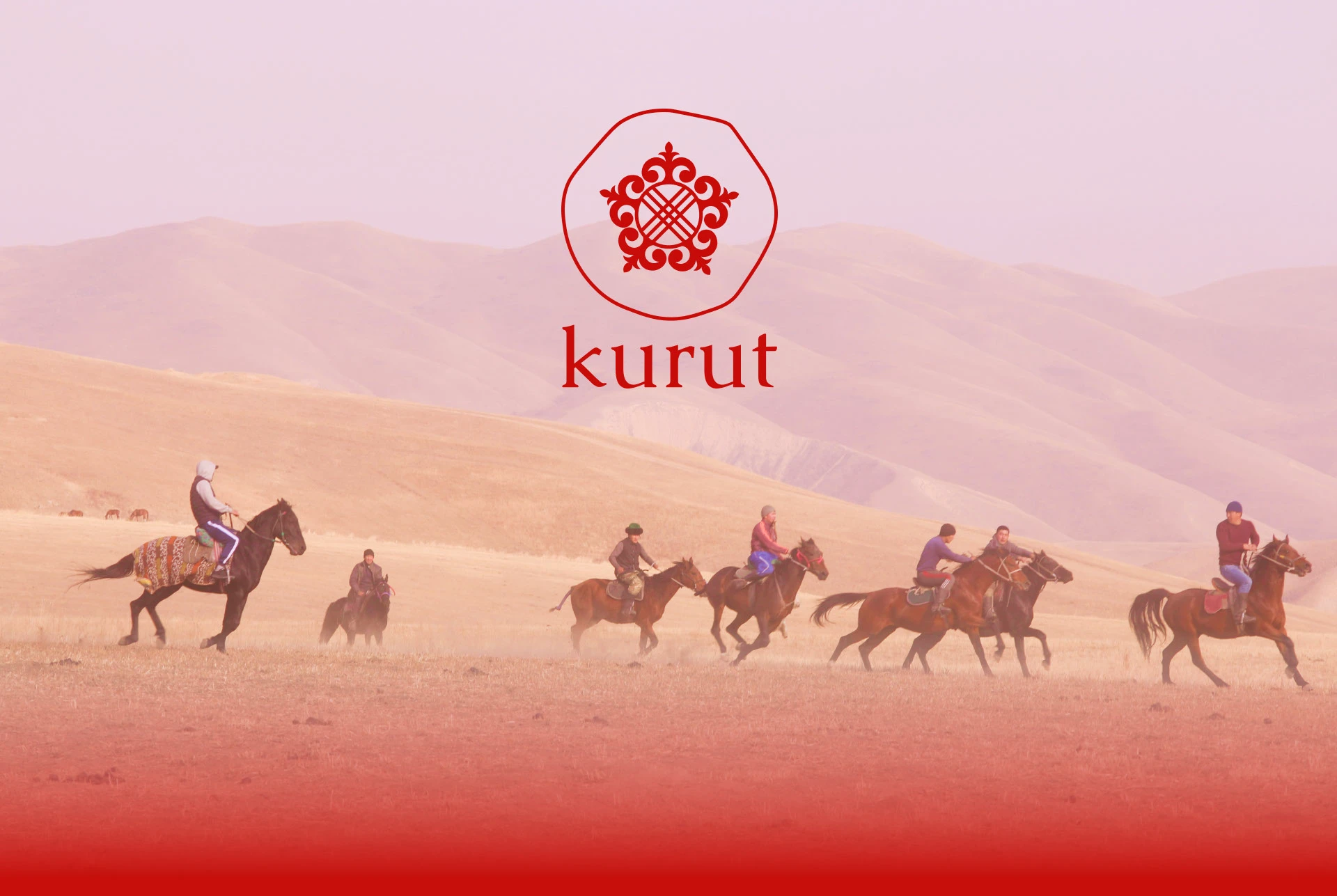 Kurut — Изображение №1 — Брендинг на Dprofile