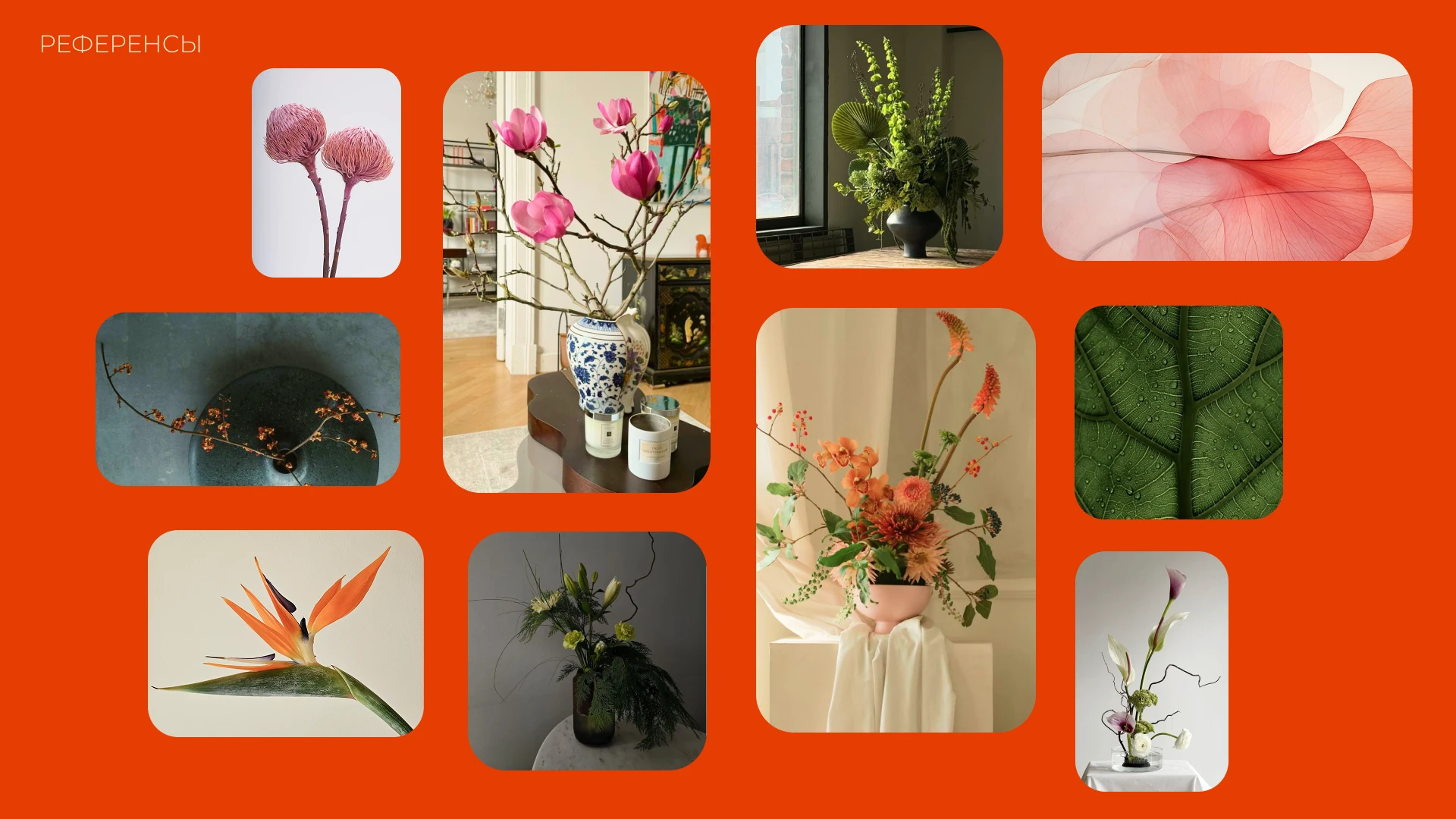 Flowers — Изображение №4 — Брендинг на Dprofile