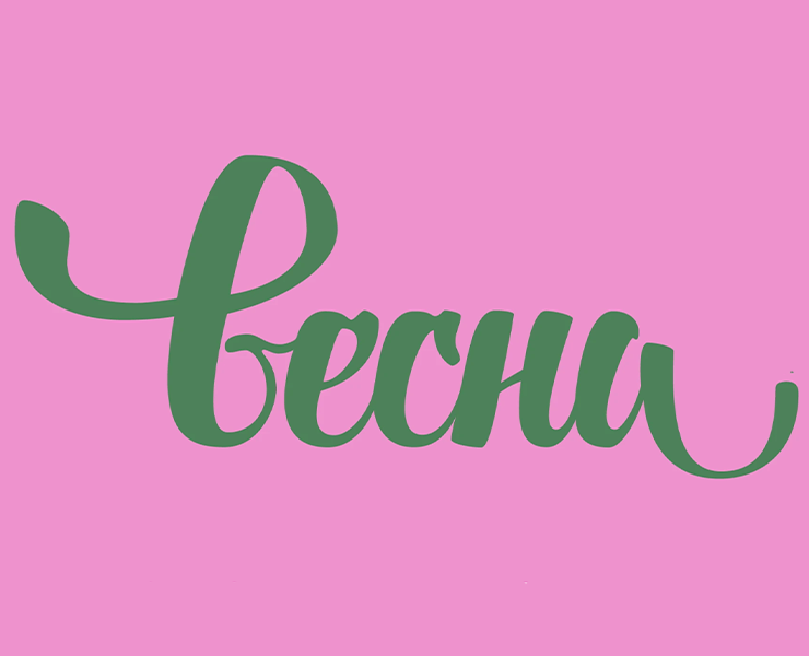 Весна — Брендинг, Графика на Dprofile