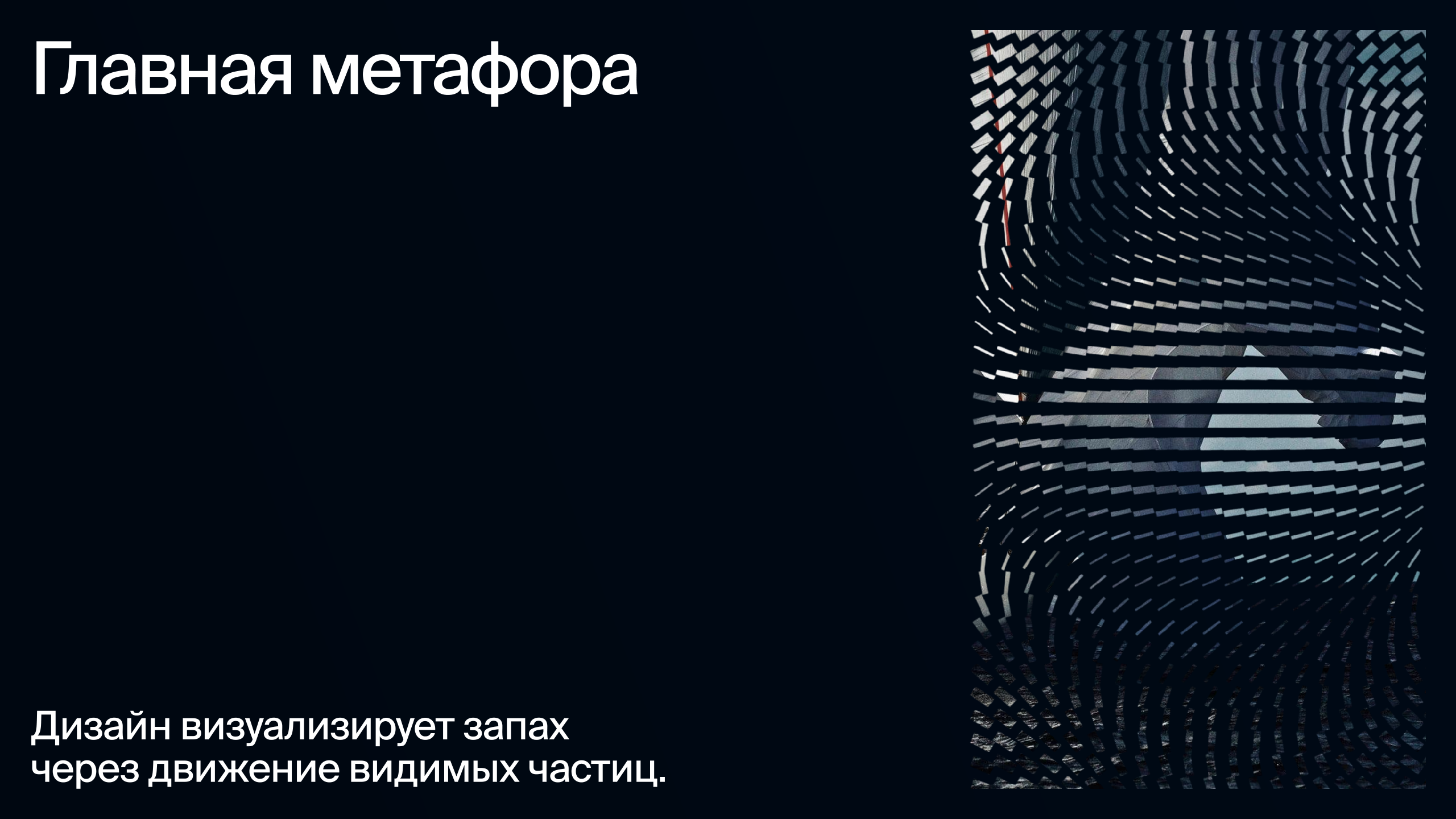 Парусный клуб «АТОМ» — Изображение №2 — Брендинг, Иллюстрация на Dprofile