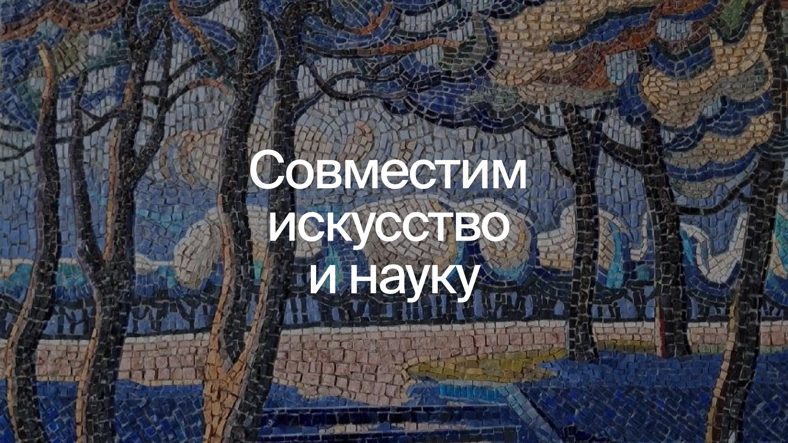 Парусный клуб «АТОМ» — Изображение №15 — Брендинг, Иллюстрация на Dprofile
