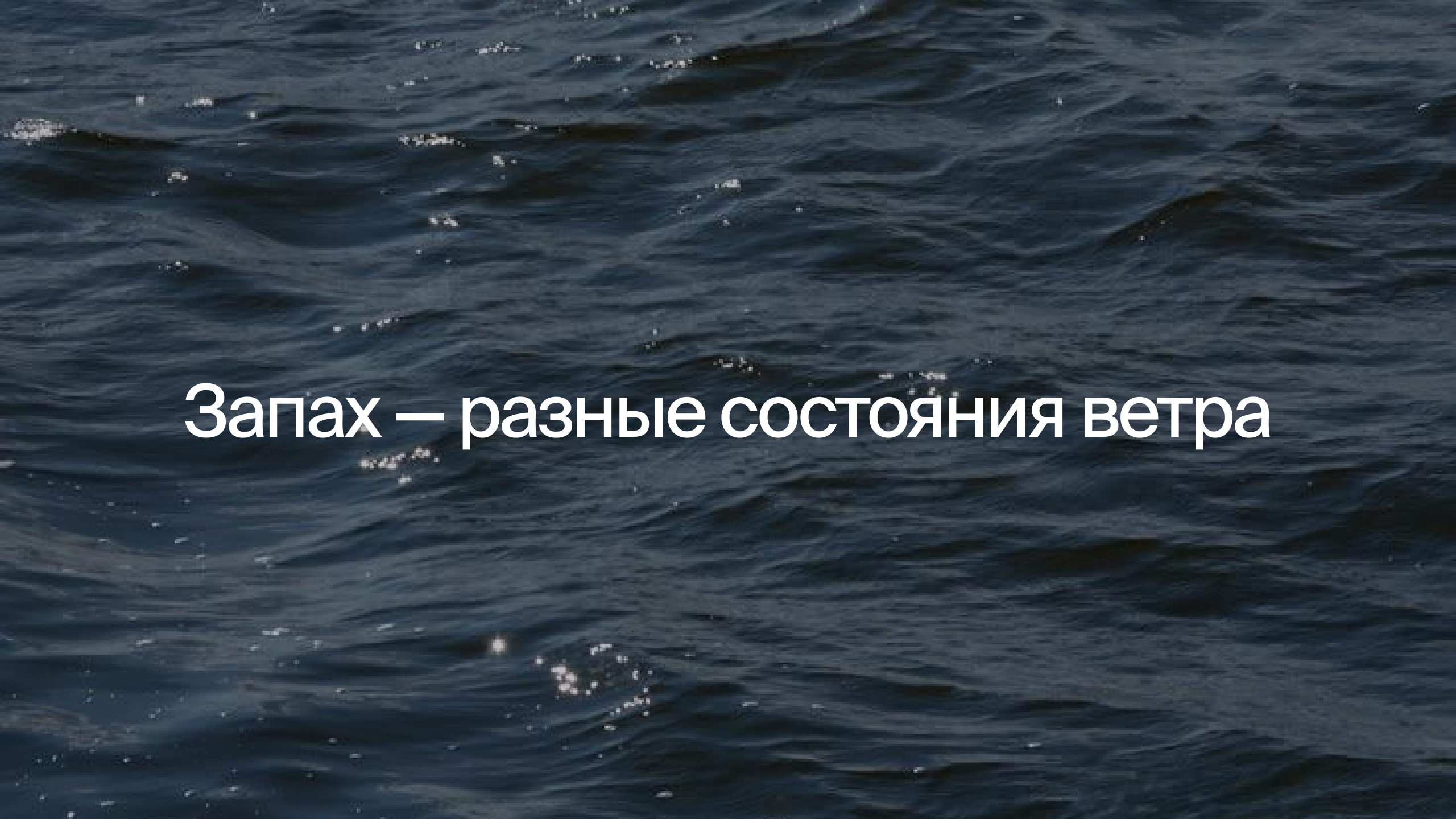 Парусный клуб «АТОМ» — Изображение №5 — Брендинг, Иллюстрация на Dprofile