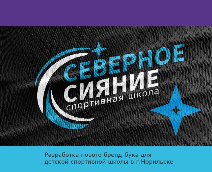 Бренд-бук для детской спортивной школы г. Норильск — Брендинг на Dprofile