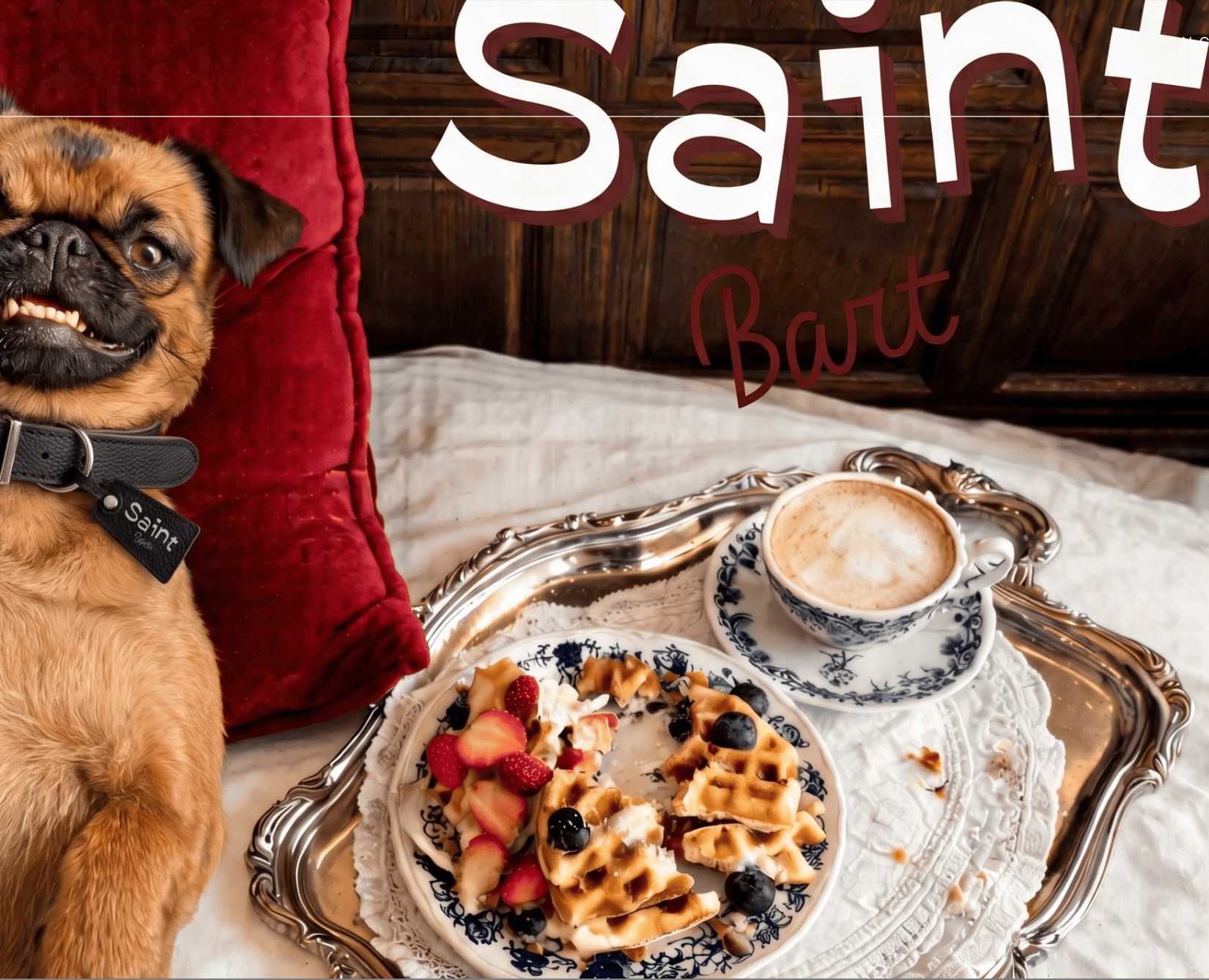 Saint Bart — Маркетинг, Нейро на Dprofile