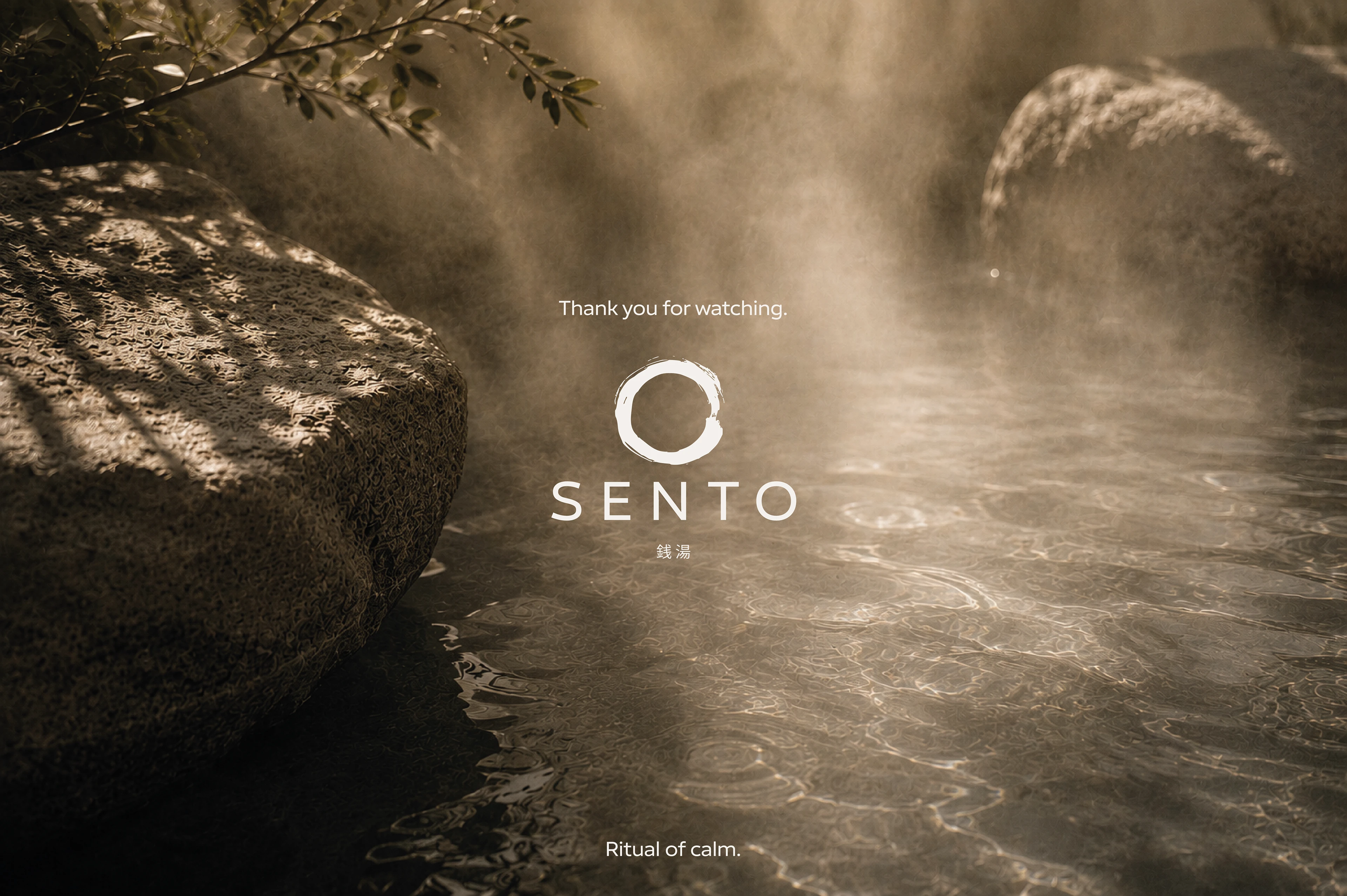 SENTO — Skincare Brand Identity — Изображение №19 — Брендинг, Графика на Dprofile