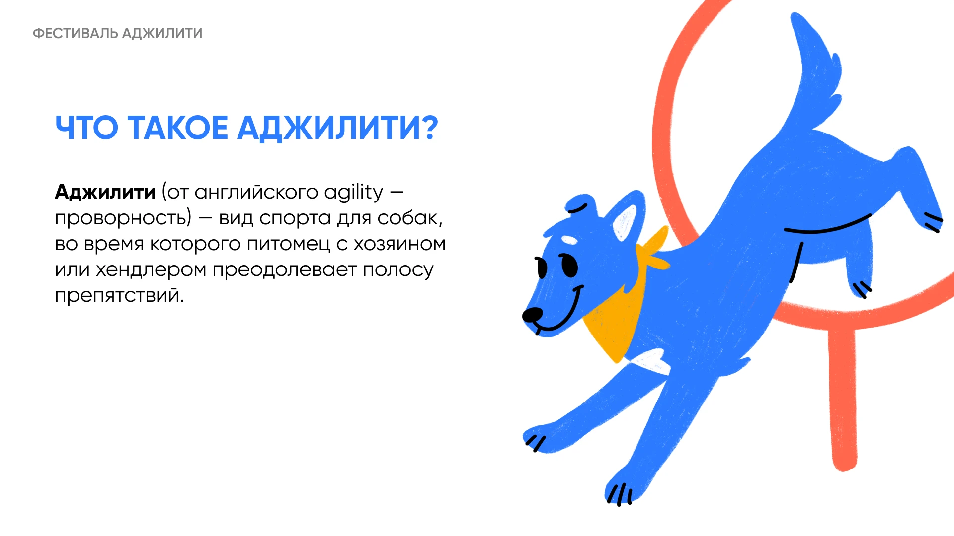 Айдентика фестиваля для собак | Аджилити Фест — Изображение №2 — Брендинг на Dprofile