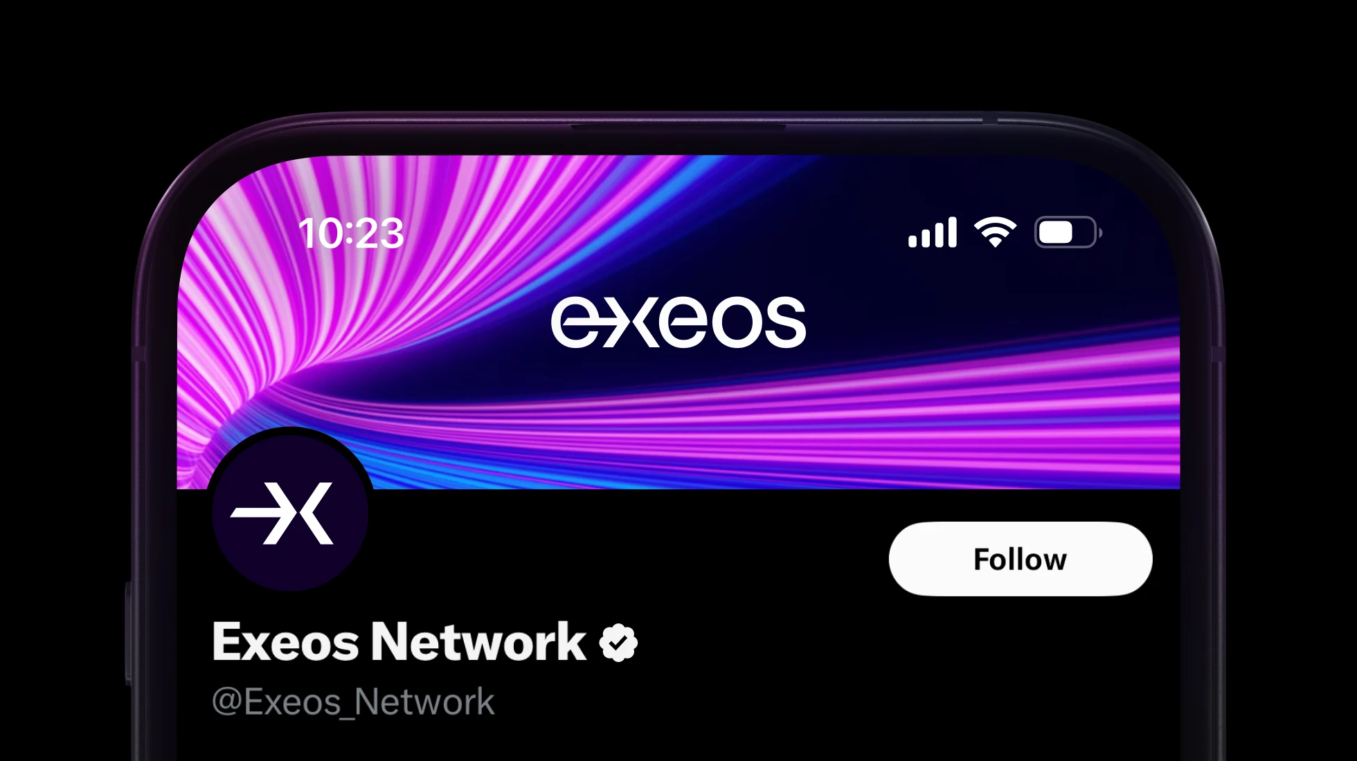 Exeos — айдентика и веб-дизайн — Изображение №2 — Брендинг, Анимация на Dprofile