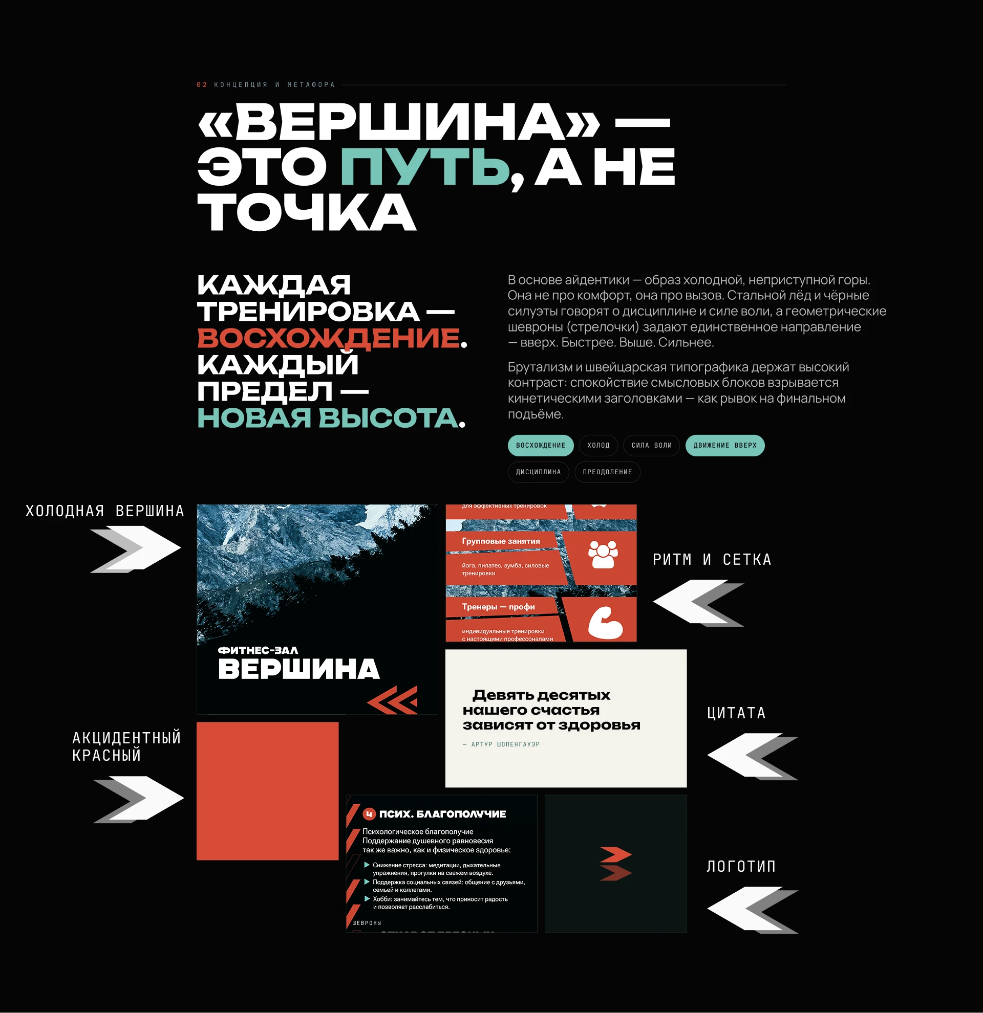 Брошюра для фитнес-клуба / Вершина — Изображение №2 — Брендинг, Графика на Dprofile