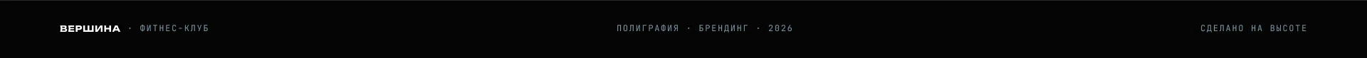 Брошюра для фитнес-клуба / Вершина — Изображение №7 — Брендинг, Графика на Dprofile