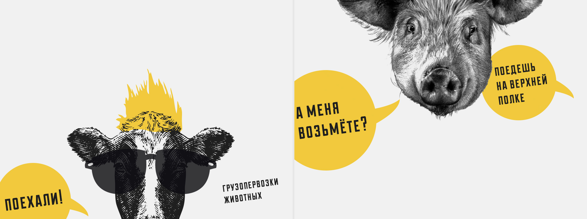 Bull-Trans грузоперевозки животных — Изображение №4 — Брендинг на Dprofile