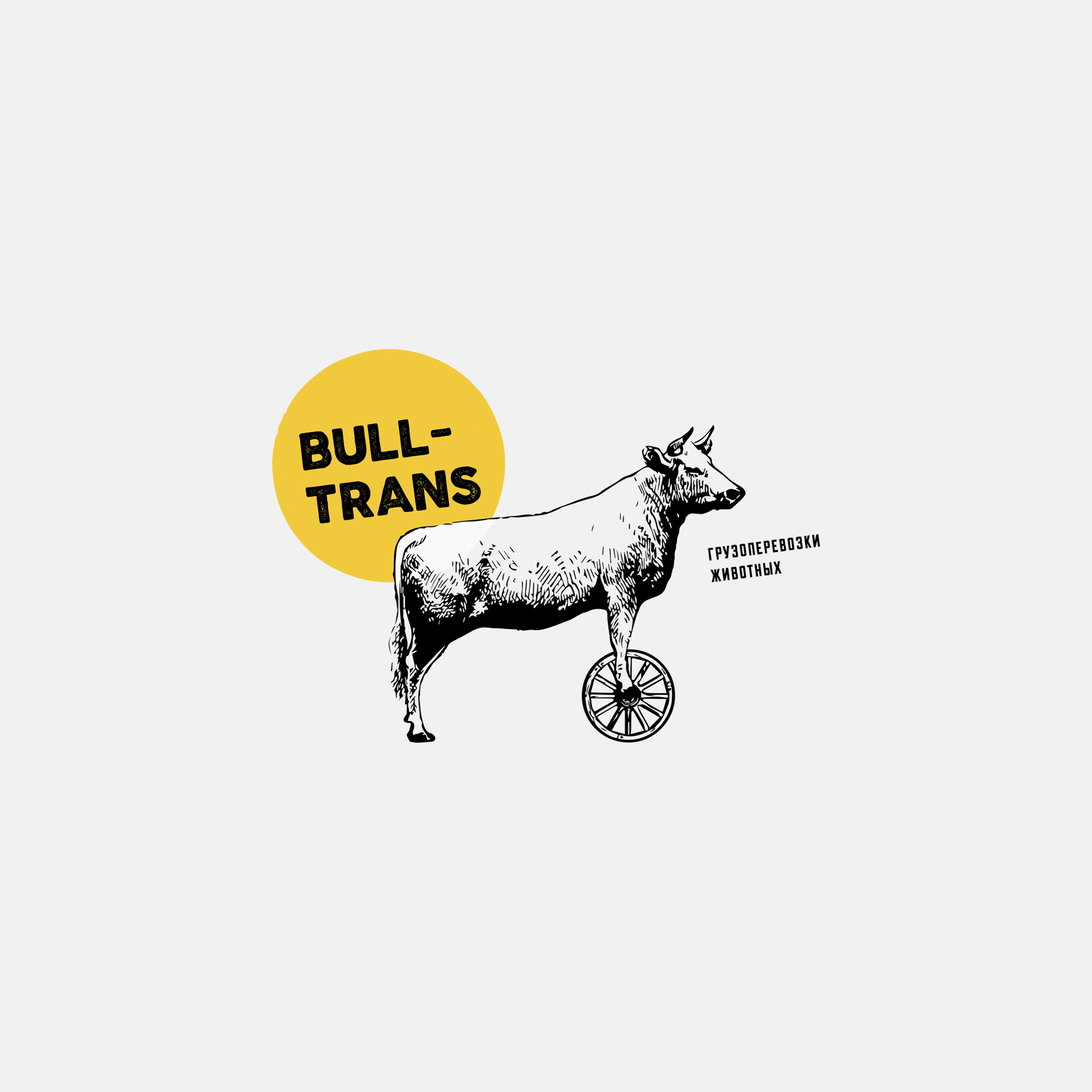 Bull-Trans грузоперевозки животных — Изображение №5 — Брендинг на Dprofile