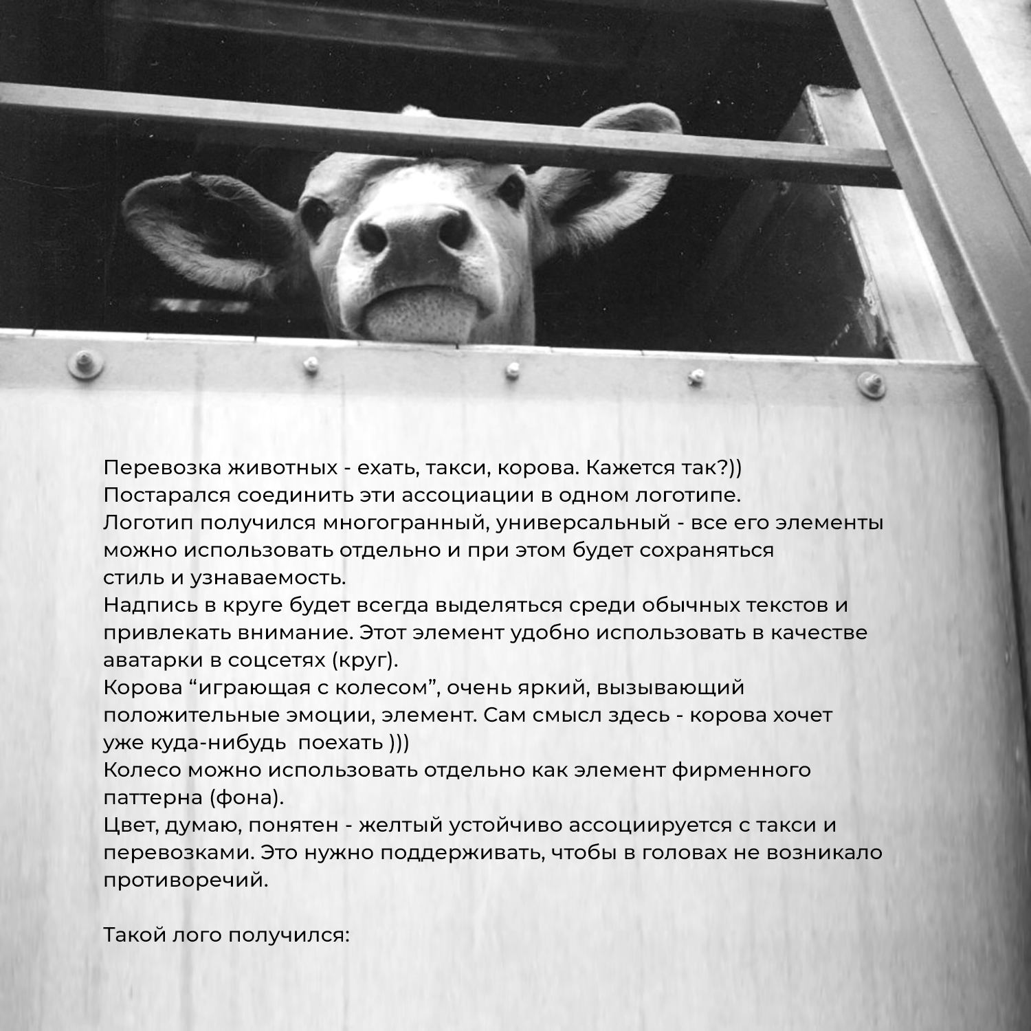 Bull-Trans грузоперевозки животных — Изображение №1 — Брендинг на Dprofile