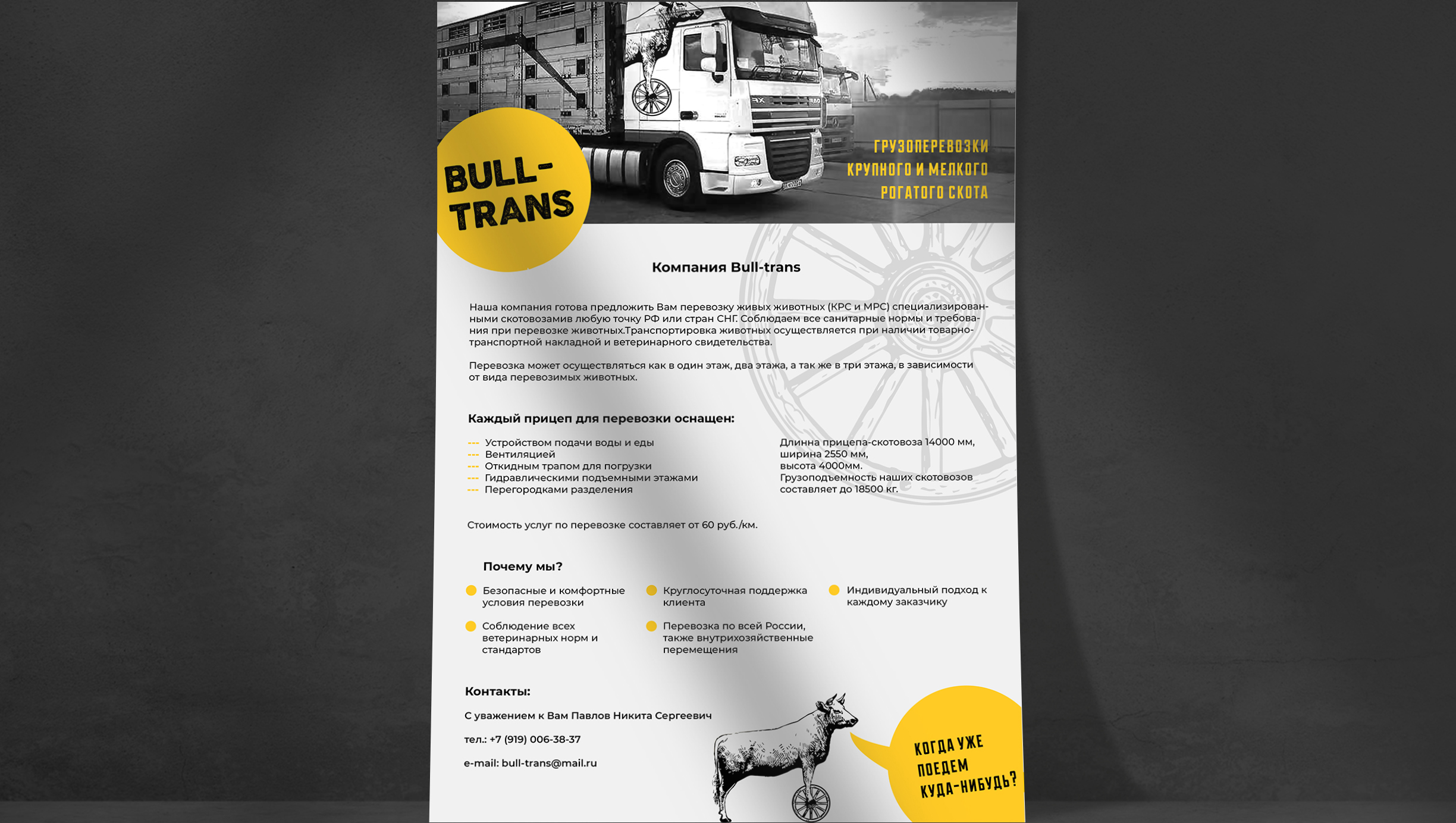 Bull-Trans грузоперевозки животных — Изображение №9 — Брендинг на Dprofile