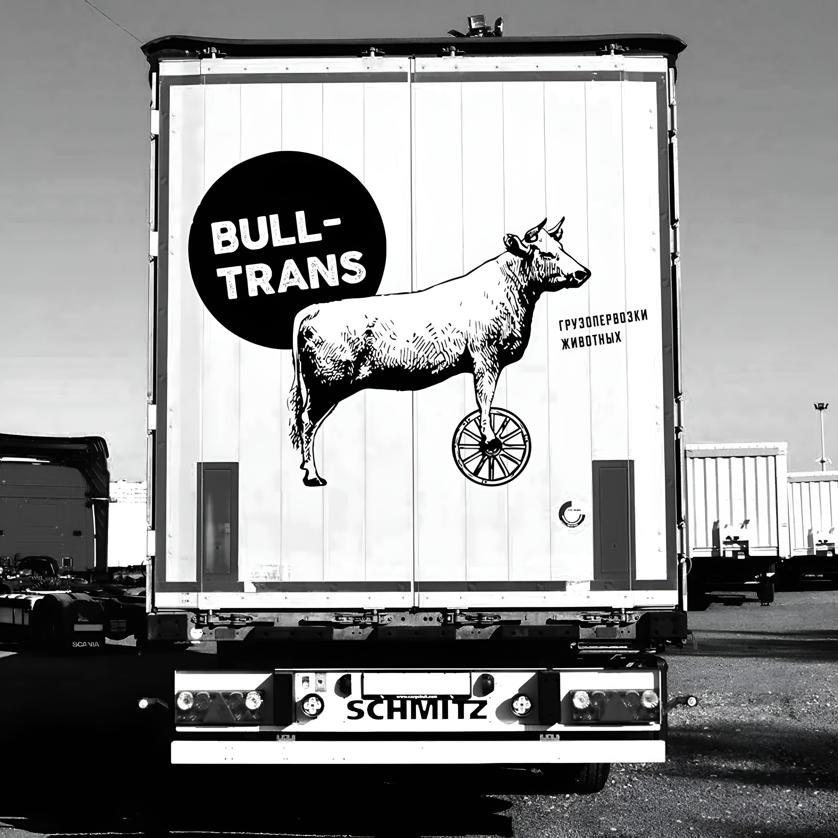 Bull-Trans грузоперевозки животных — Изображение №8 — Брендинг на Dprofile