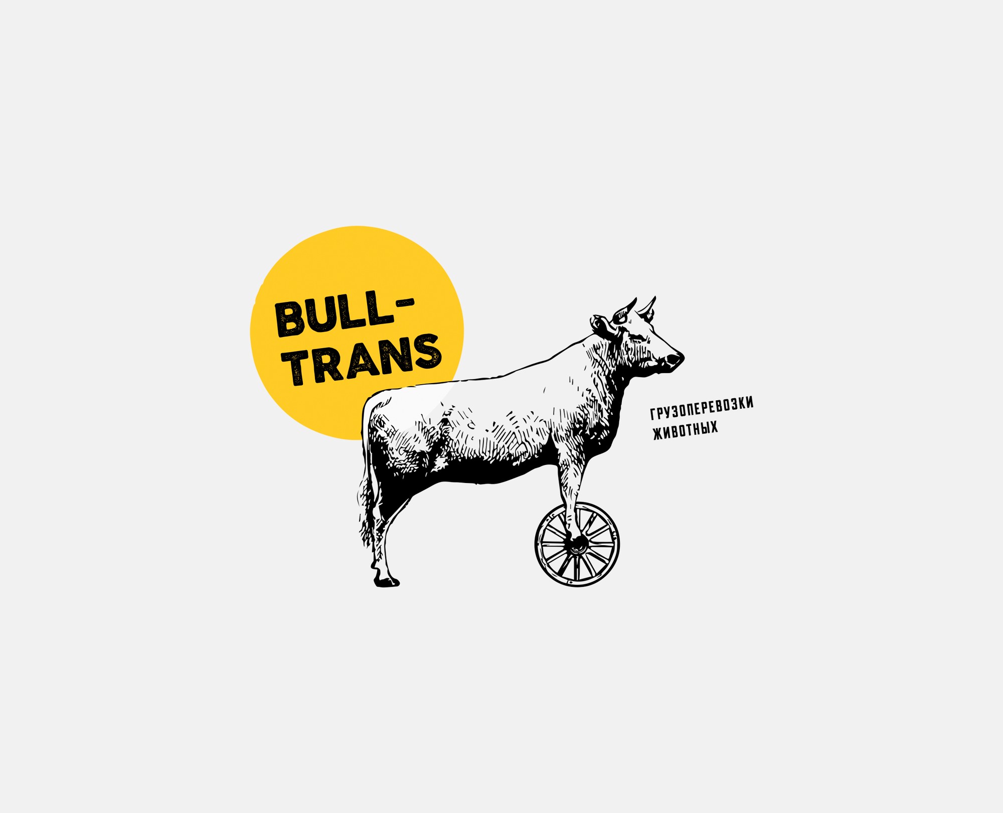 Bull-Trans грузоперевозки животных — Брендинг на Dprofile
