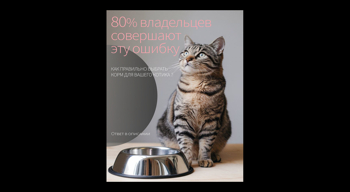 Whiskers & Tails — Изображение №16 — Брендинг на Dprofile