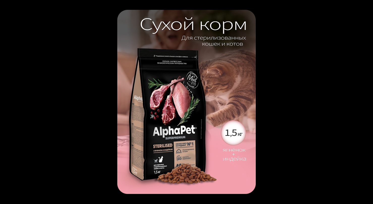 Whiskers & Tails — Изображение №18 — Брендинг на Dprofile