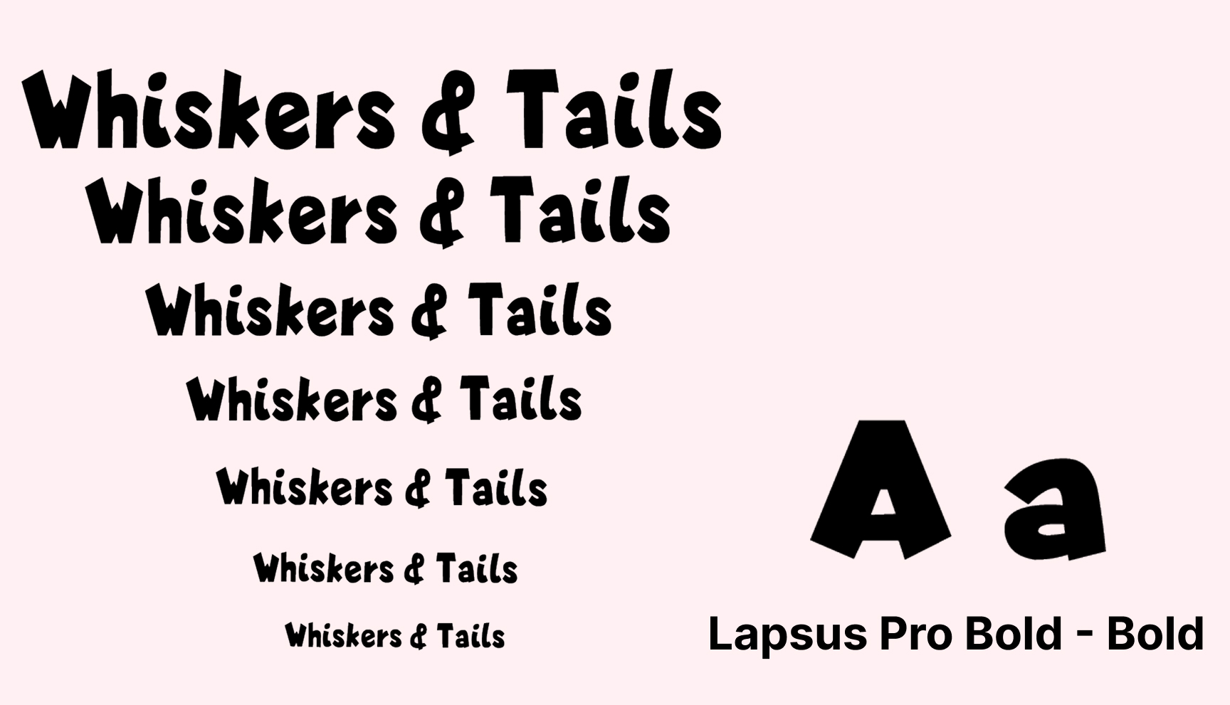 Whiskers & Tails — Изображение №11 — Брендинг на Dprofile
