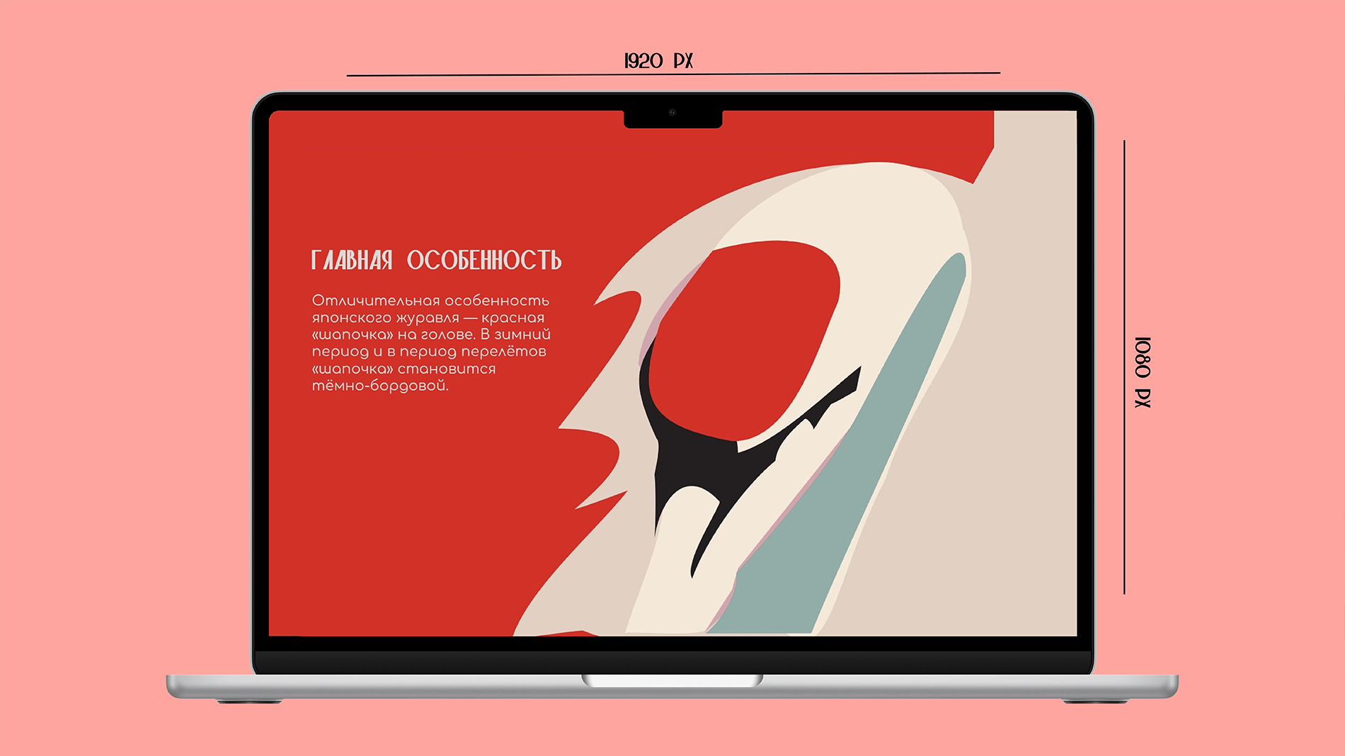 Японский журавль : мультимедийная презентация — Изображение №10 — Анимация, Маркетинг на Dprofile
