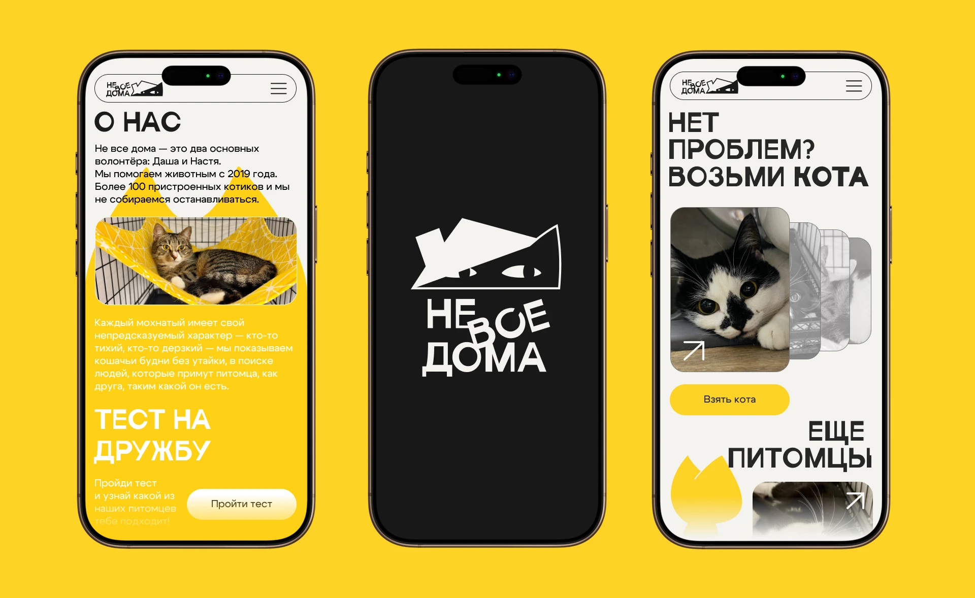 Не все дома | Айдентика приюта — Изображение №11 — Брендинг на Dprofile