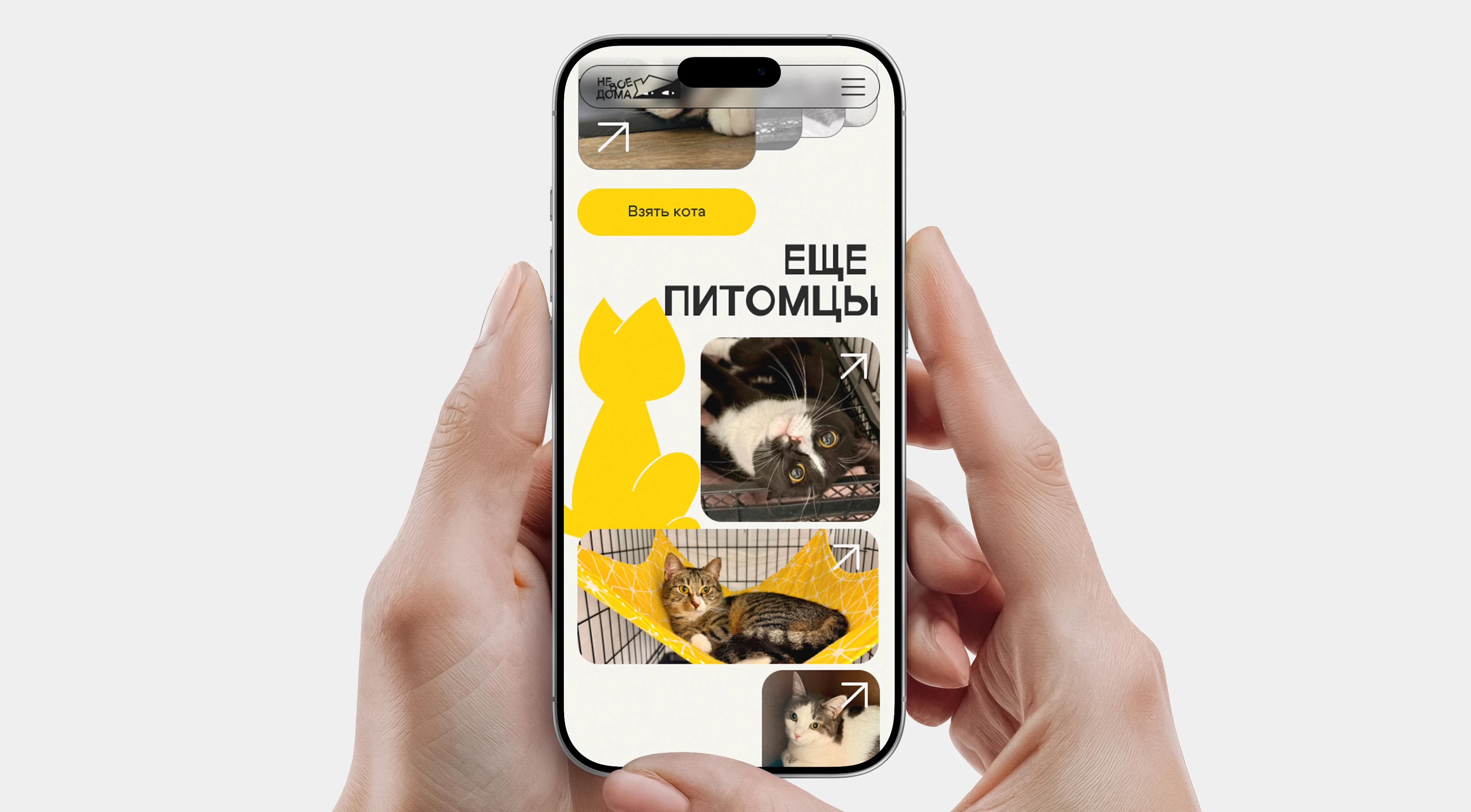 Не все дома | Айдентика приюта — Изображение №12 — Брендинг на Dprofile