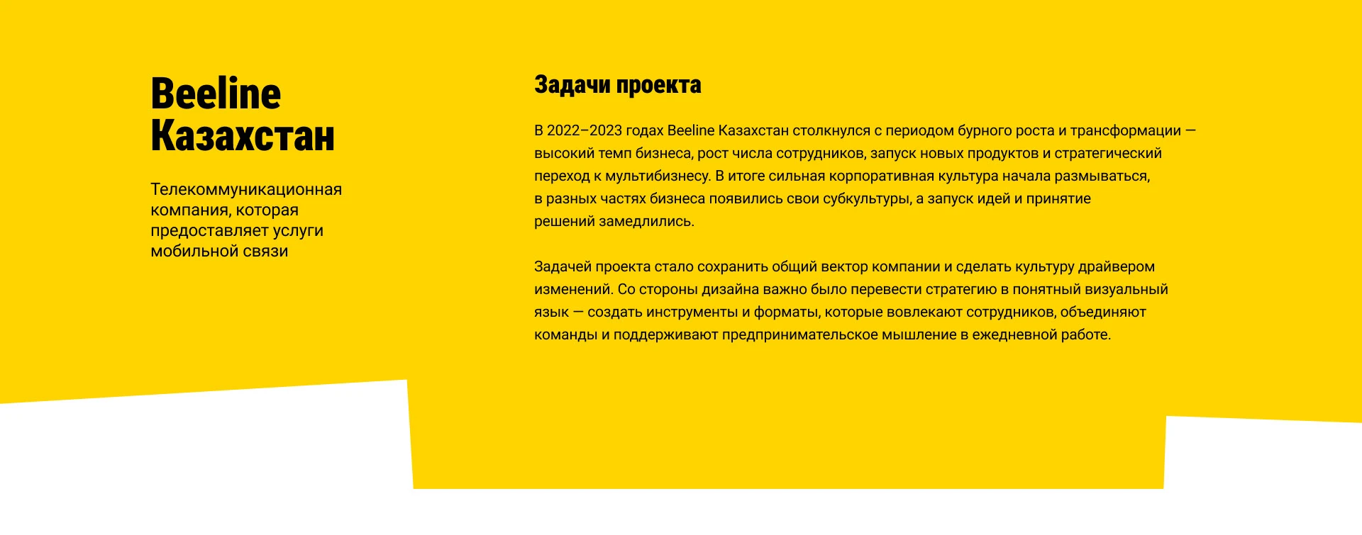 Beeline Казахстан — Изображение №2 — Брендинг на Dprofile