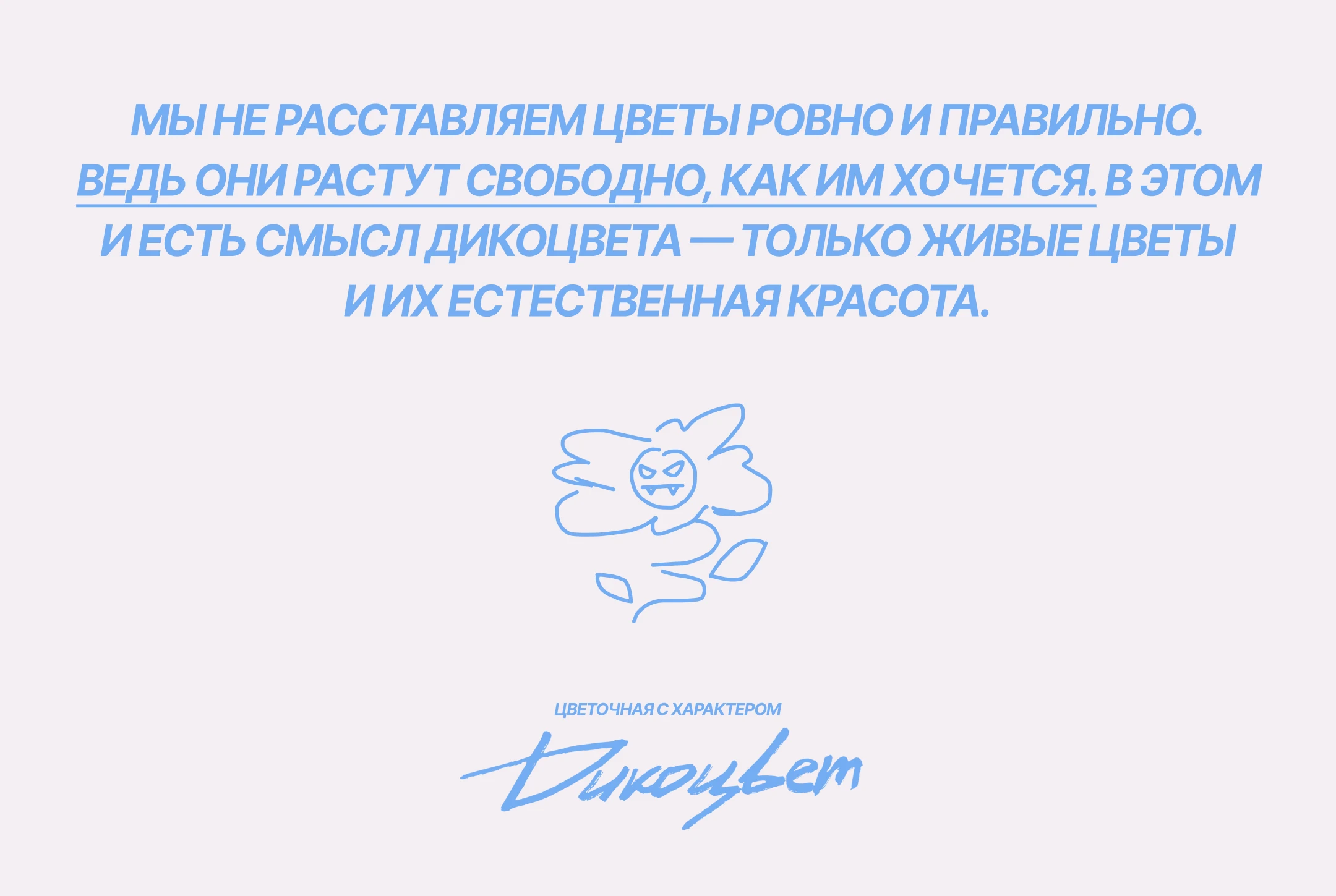 Фирменный стиль цветочного магазина — Изображение №6 — Брендинг на Dprofile