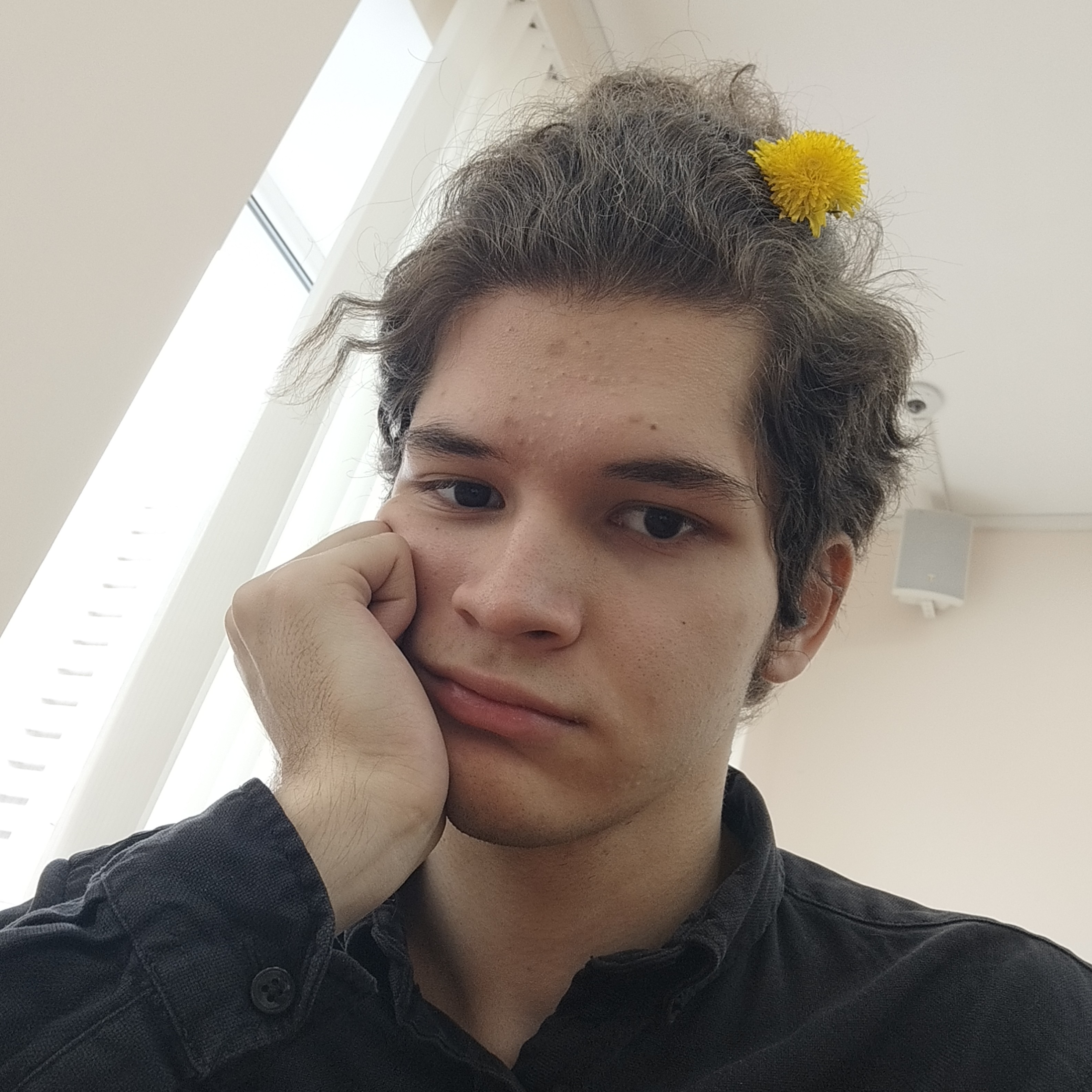 Аватар пользователя Максим Цивильский