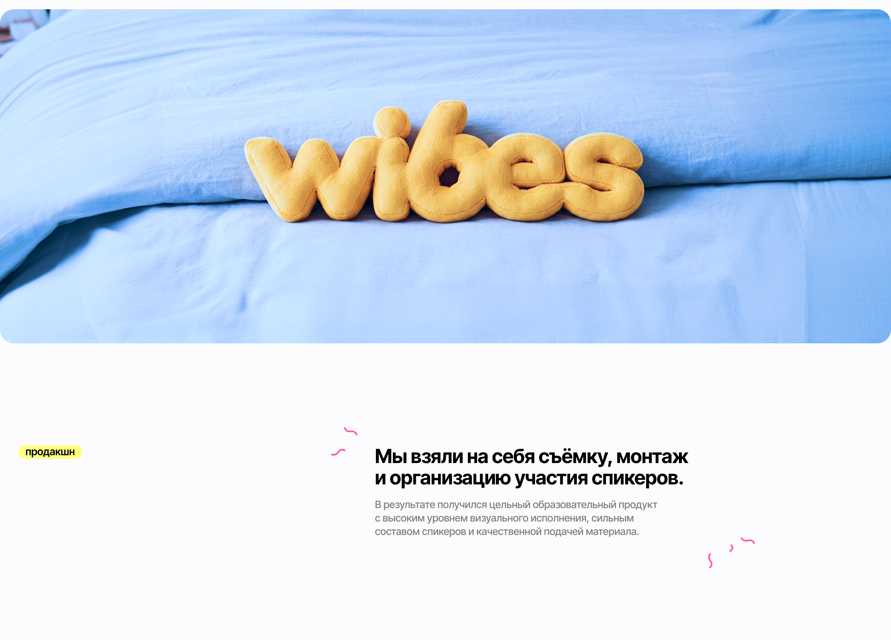 Wibes | Продакшн обучающего курса по UGC — Изображение №4 — Брендинг, Анимация на Dprofile