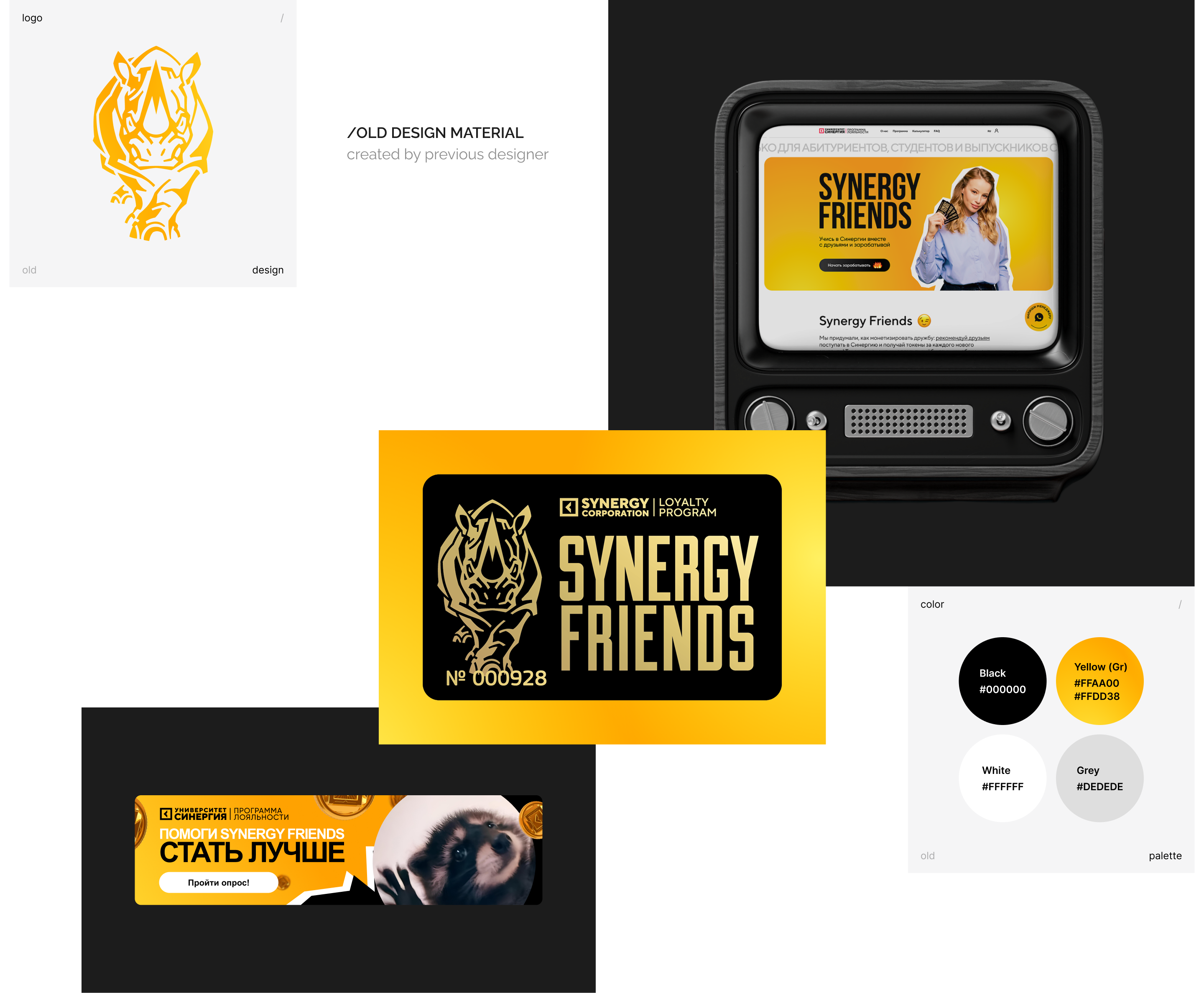 SYNERGY FRIENDS | Ребрендинг проекта программы лояльности — Изображение №3 — Брендинг на Dprofile