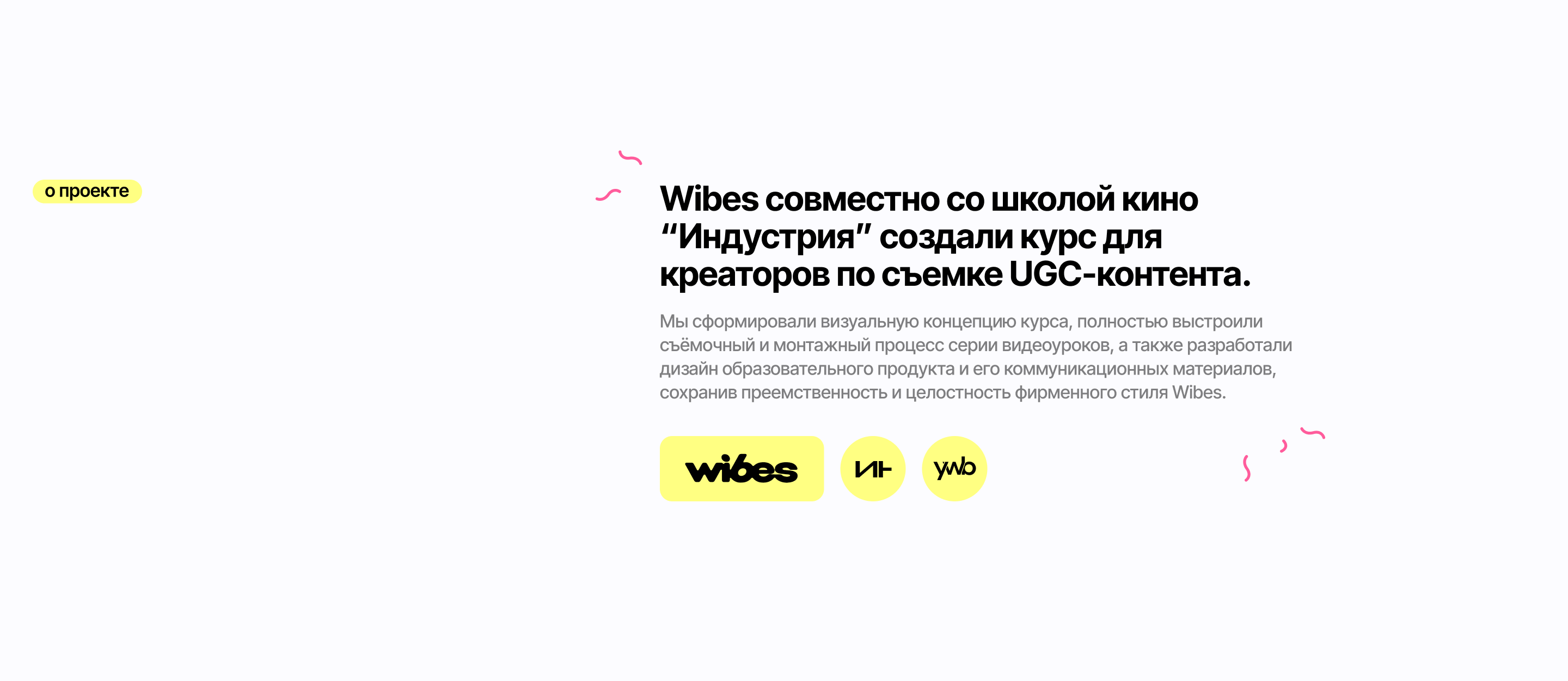 Wibes | Продакшн обучающего курса по UGC — Изображение №1 — Брендинг, Анимация на Dprofile