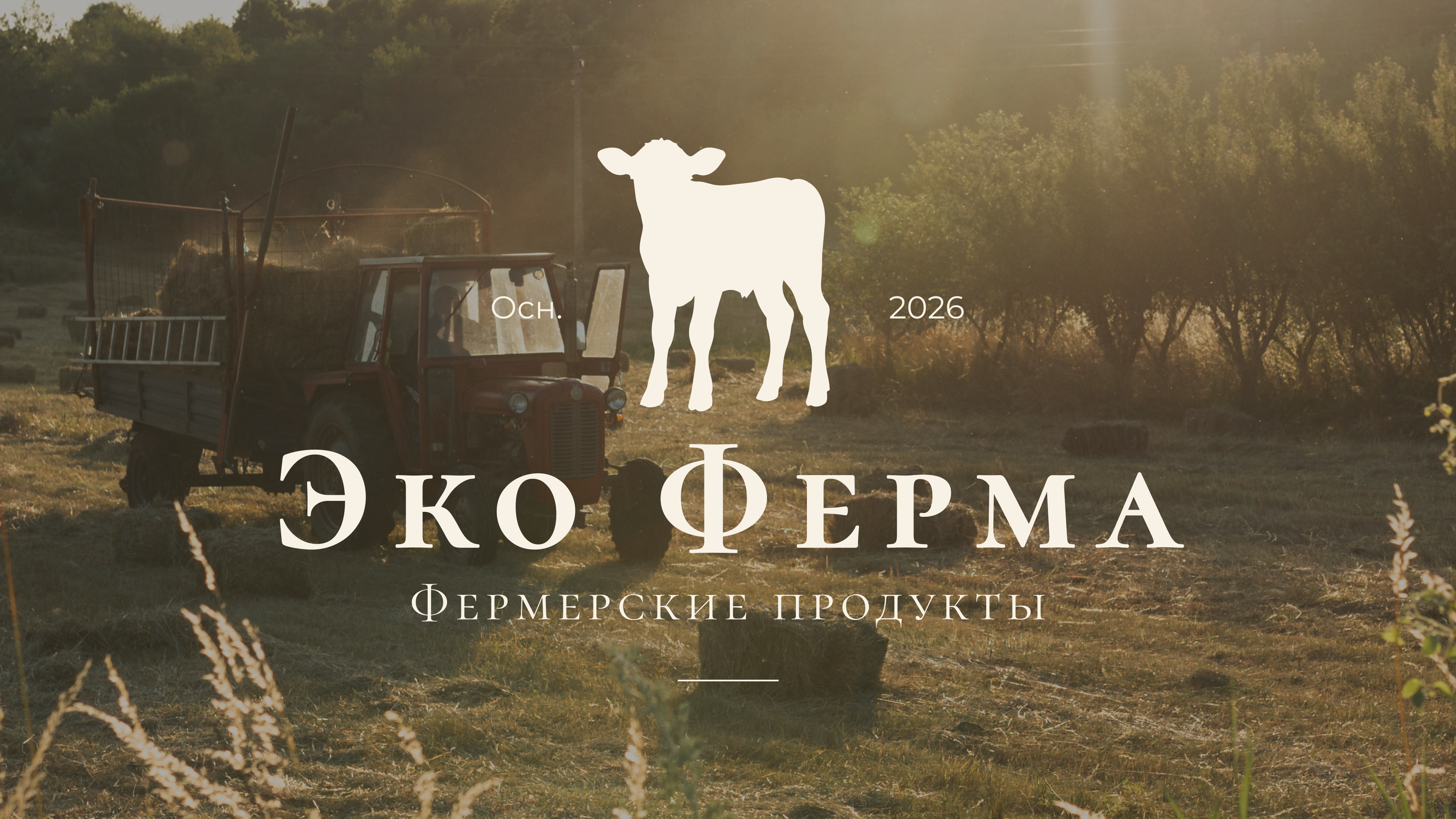 Эко Ферма | Farm Products | Branding | Packaging Design — Изображение №14 — Брендинг на Dprofile