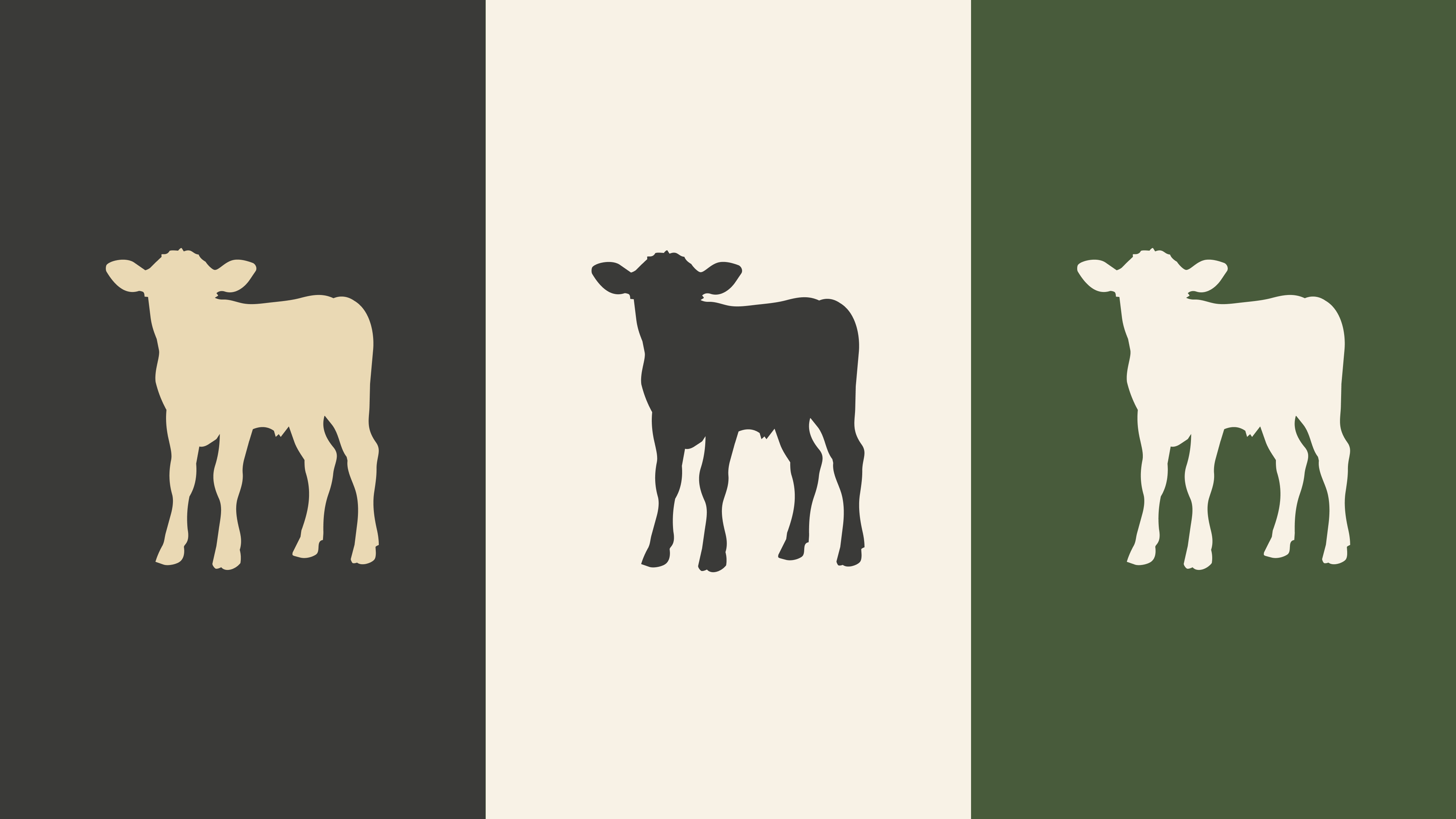 Эко Ферма | Farm Products | Branding | Packaging Design — Изображение №8 — Брендинг на Dprofile