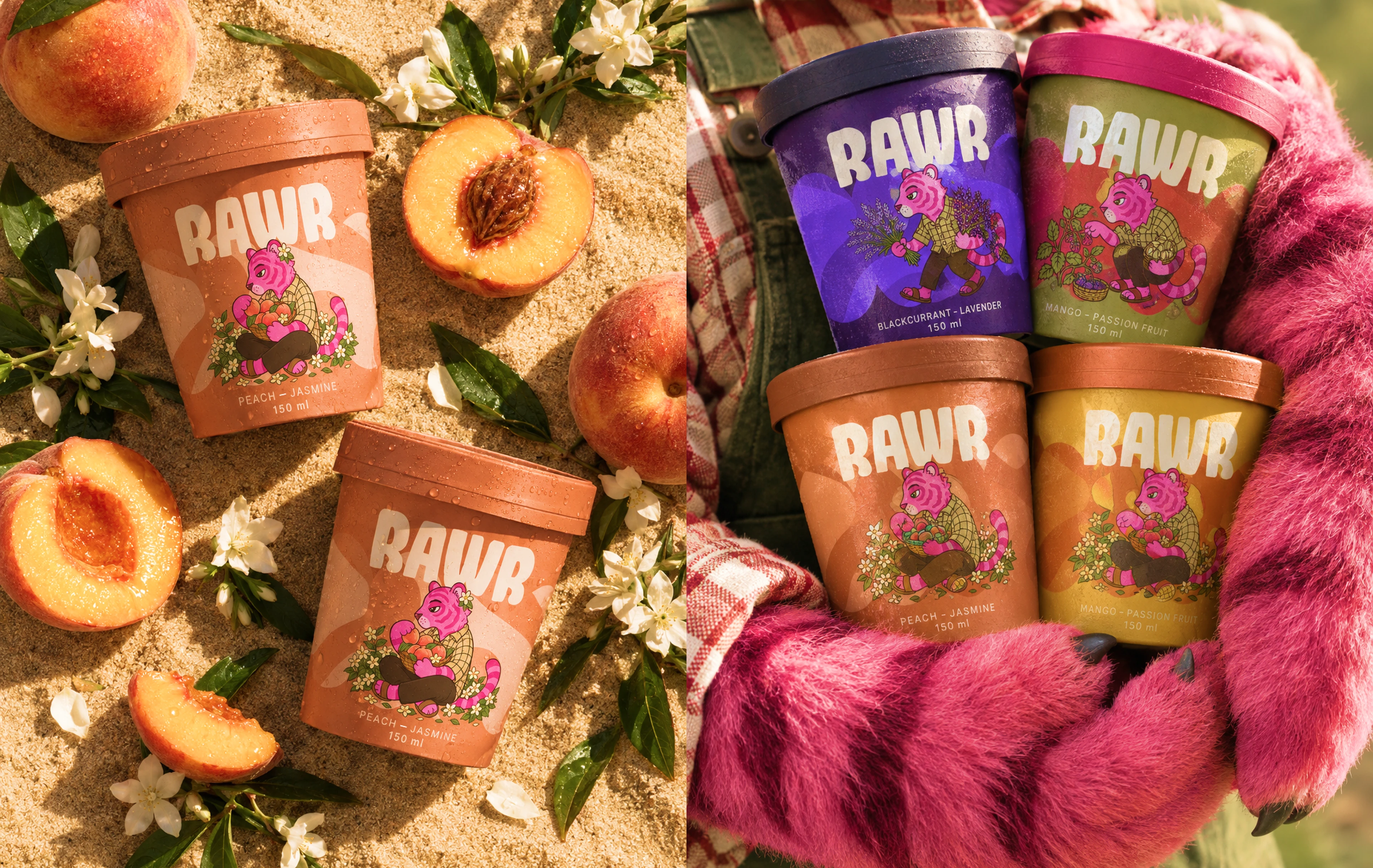 RAWR | Ice Cream | Branding Packaging — Изображение №11 — Брендинг на Dprofile