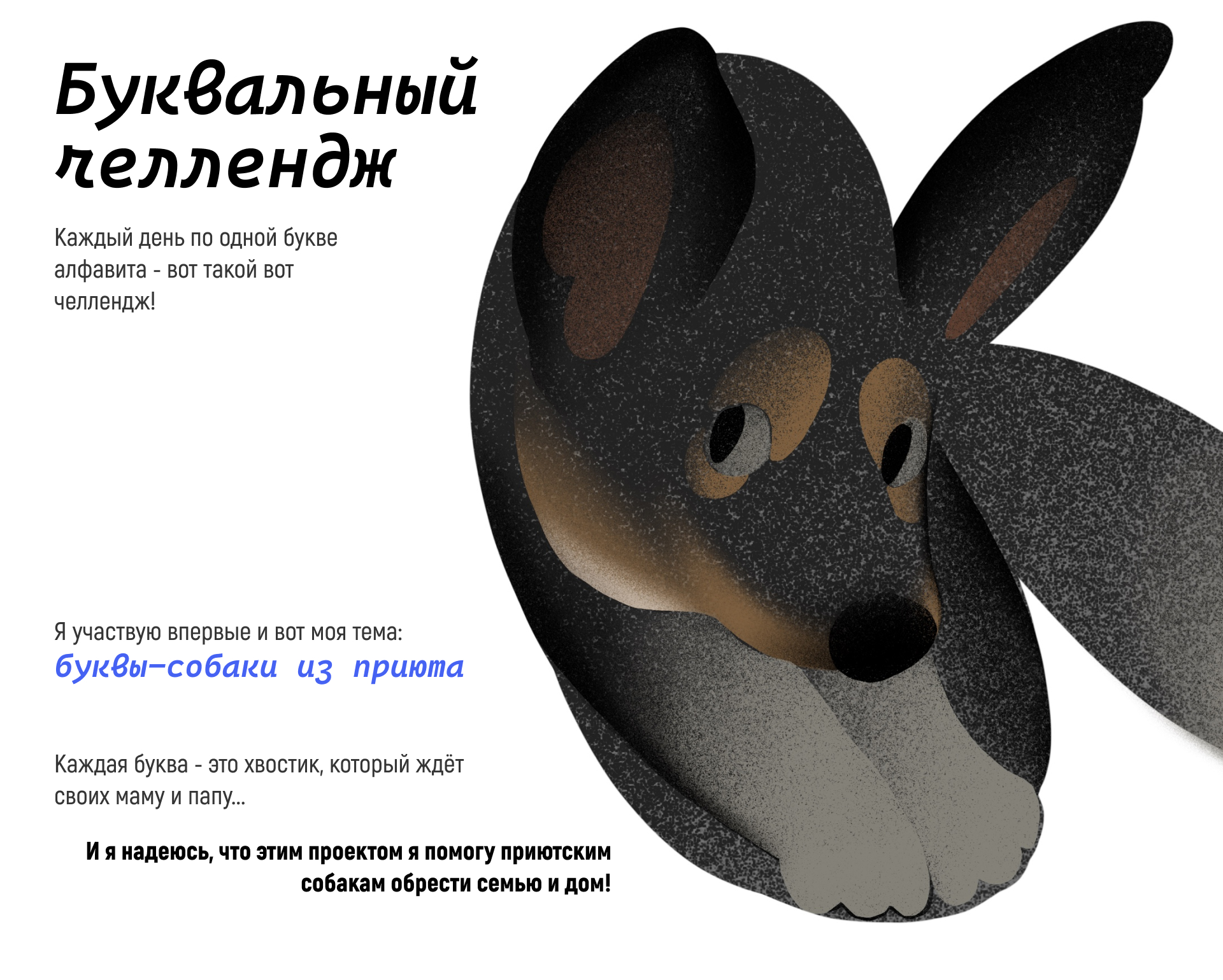 БКВЧ'26 // Приютские хвостики — Изображение №2 — Иллюстрация, Графика на Dprofile