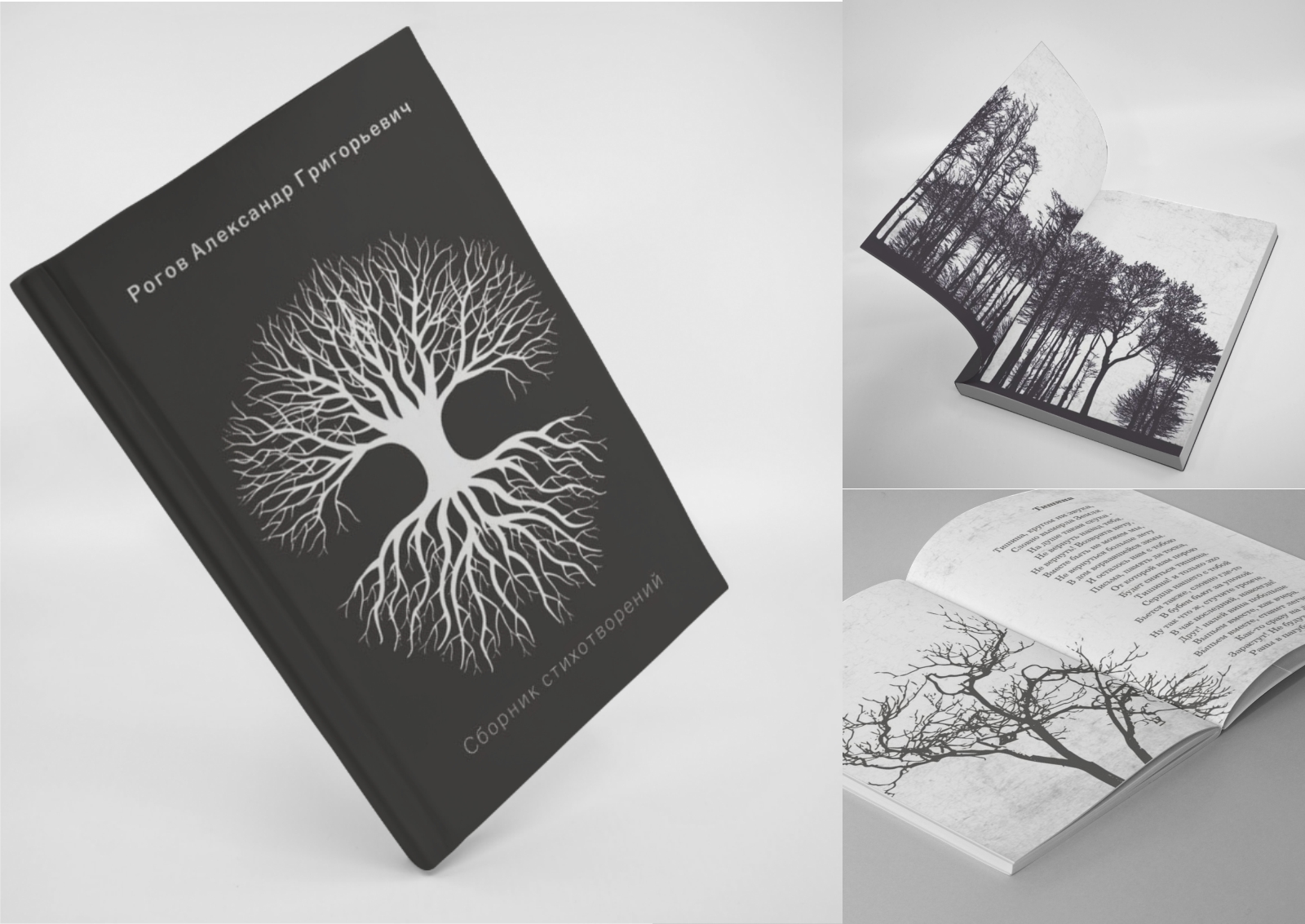 Дизайн книги и вёрстка — Изображение №3 — Графика на Dprofile