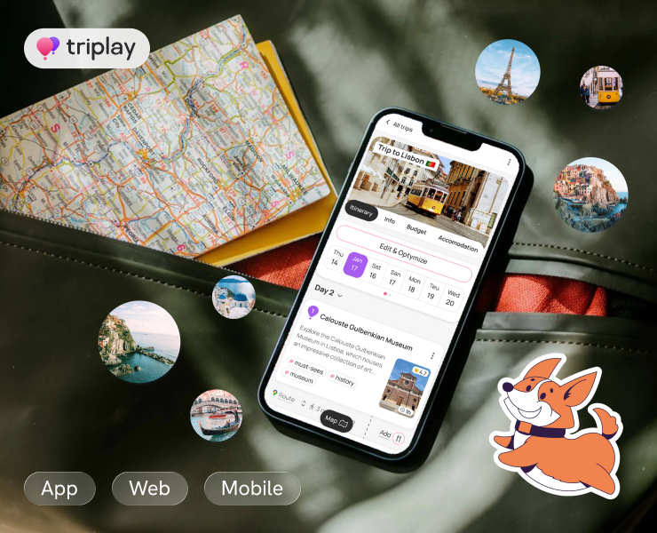 Triplay: Дизайн для ИИ-планнера путешествий — Интерфейсы на Dprofile