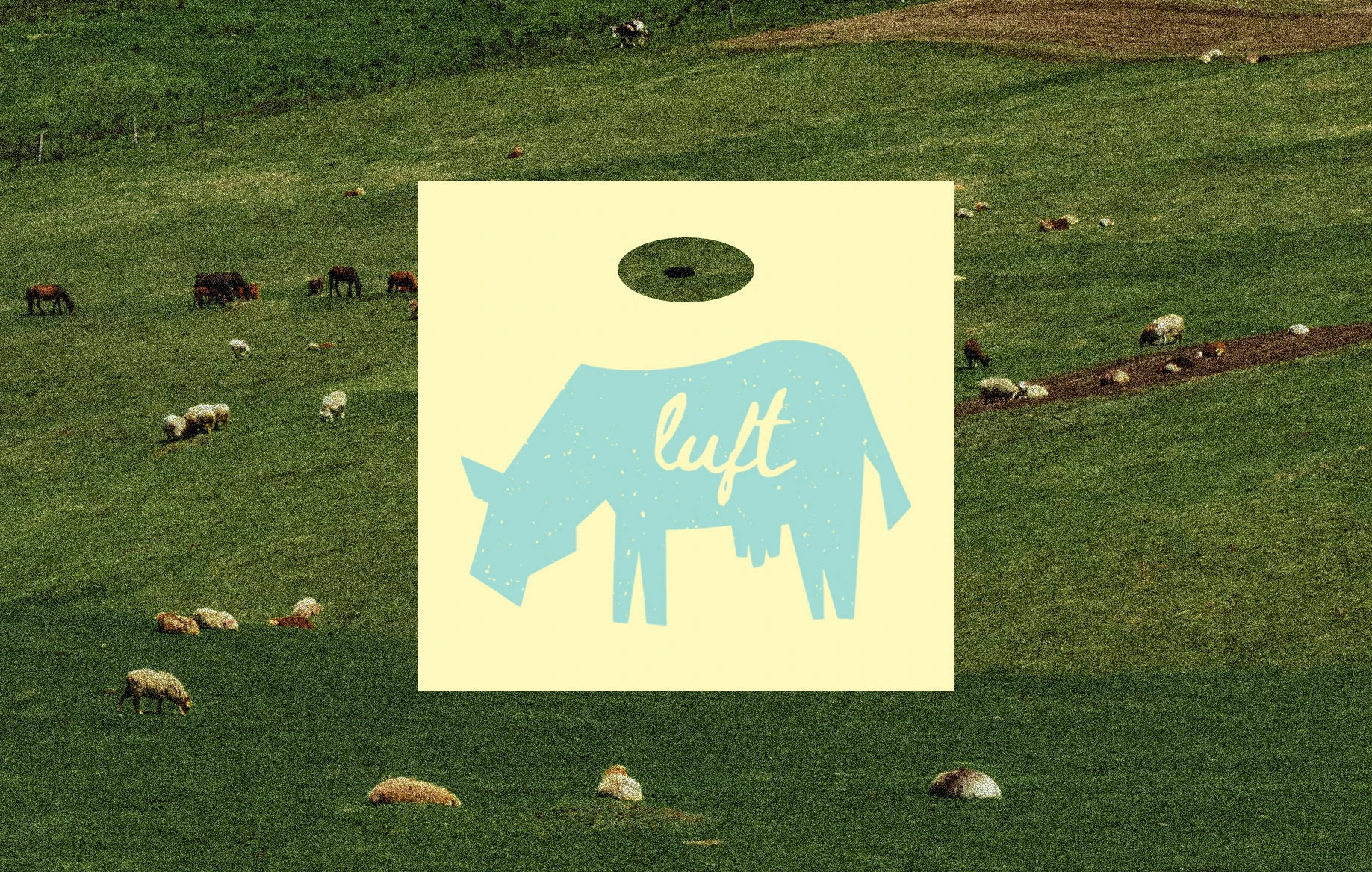 LUFT | Фирменный стиль для бренда сливочного масла — Изображение №5 — Брендинг на Dprofile